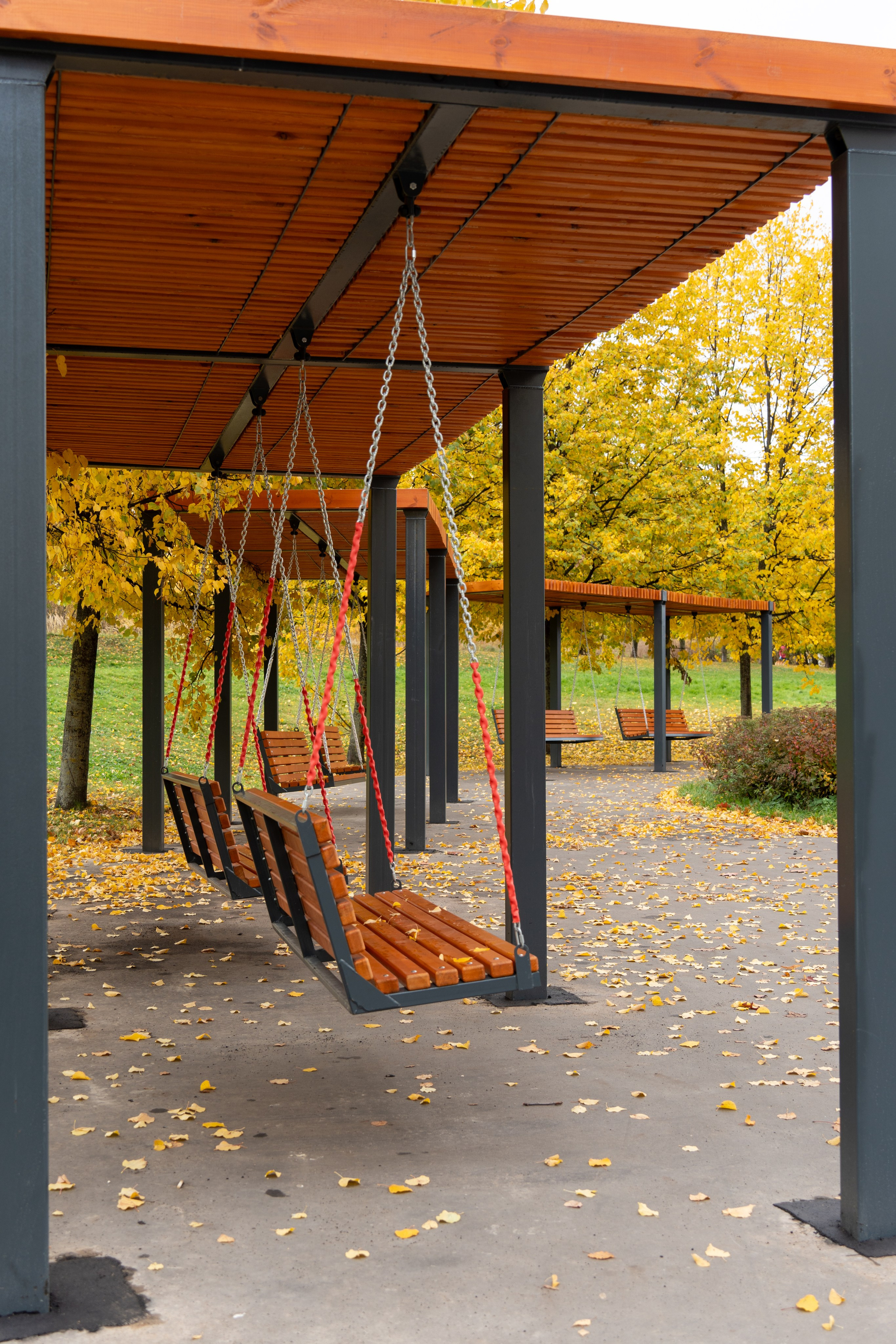 20251012 МГУ. Дмитрий Ремизов. Фотография, как хобби