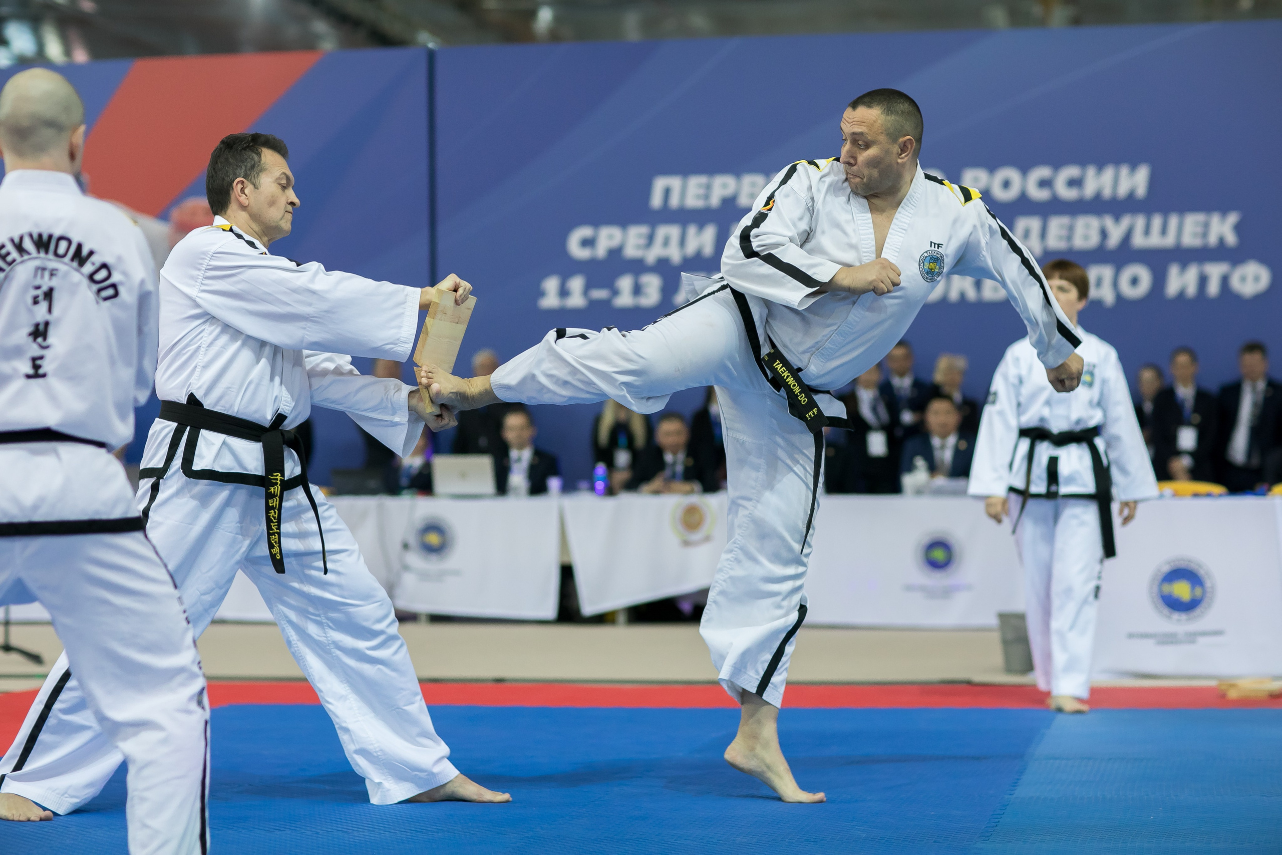 Тхэквондо. Фотограф в Сочи, Краснодаре и Ростове на Дону