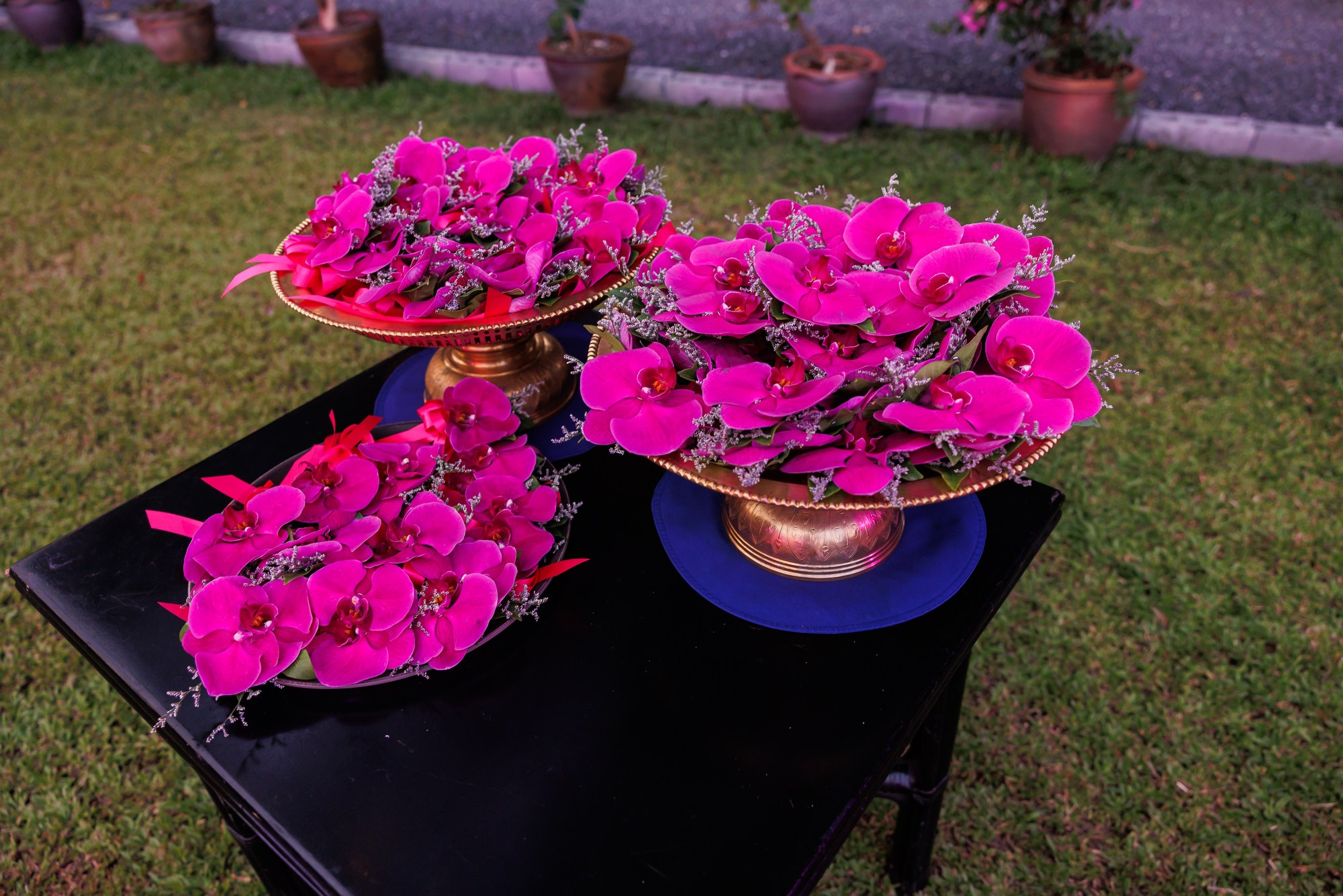 Корпоративный выезд в Тайланд. Фотограф Дмитрий Елисеев