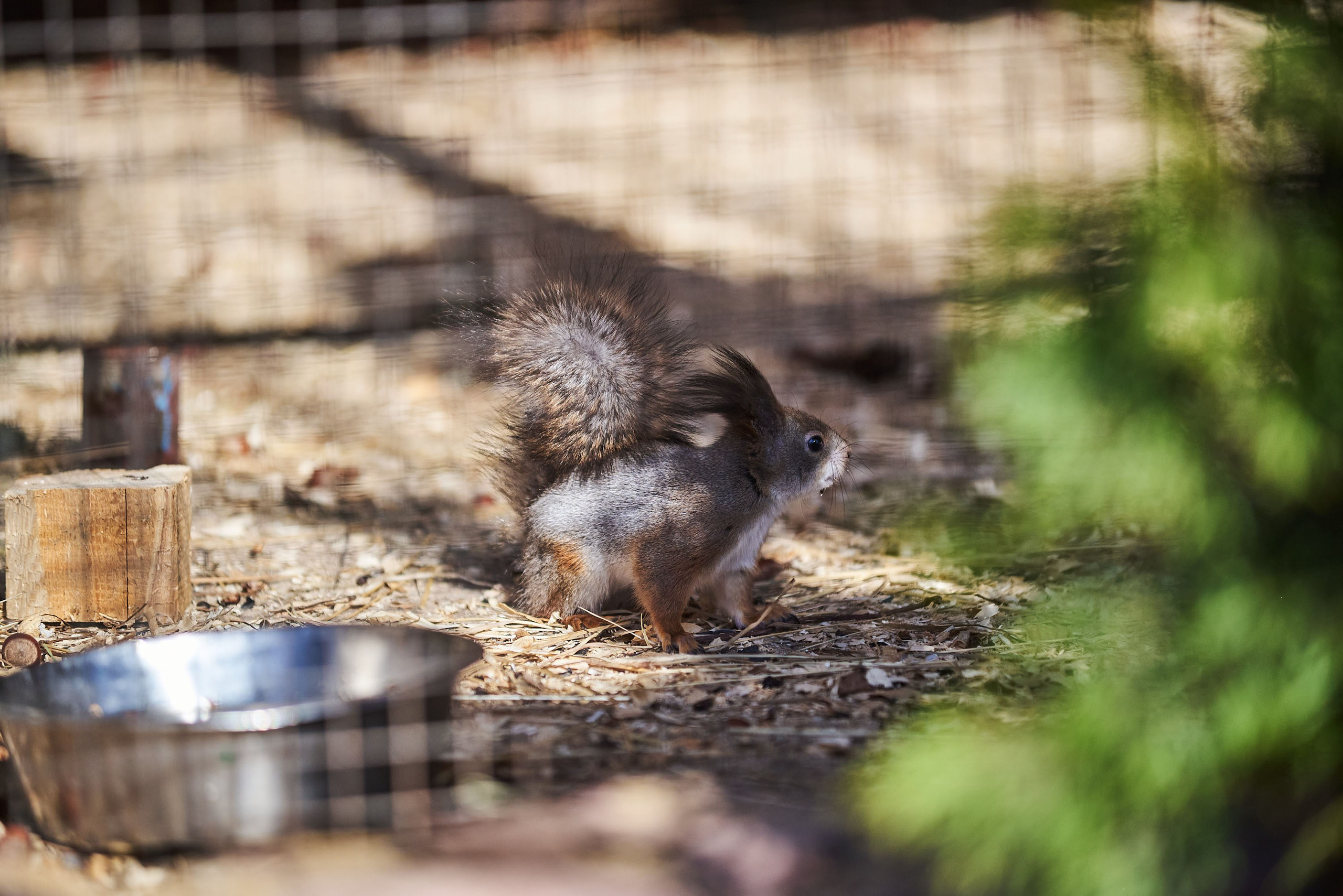 Зоопарк Иваново. Фотограф в Иваново: Каталожная съемка одежды и постельного белья, Wildberries