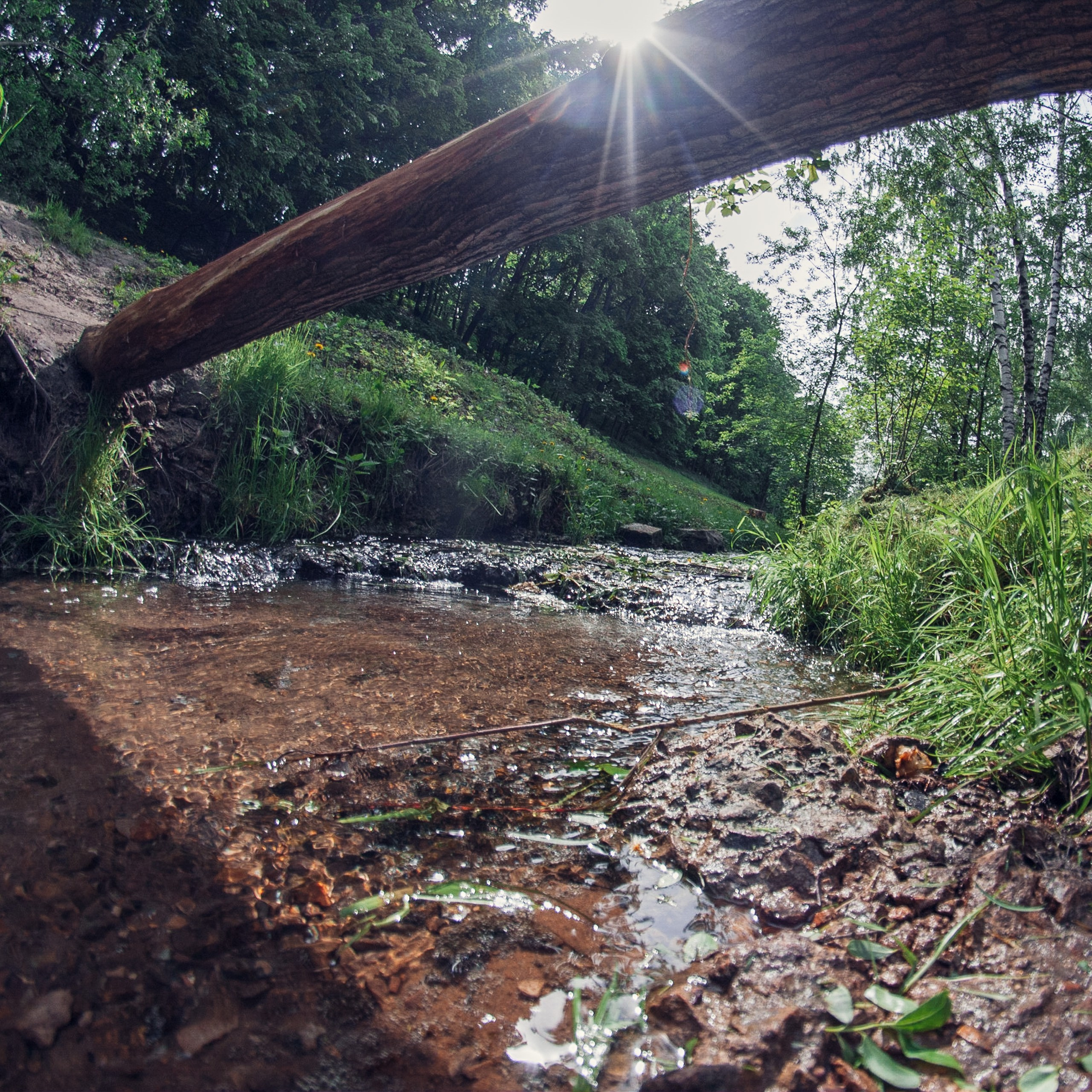 Свадебная фотосессия в Коломенском. Фотограф — Евгений Свистков