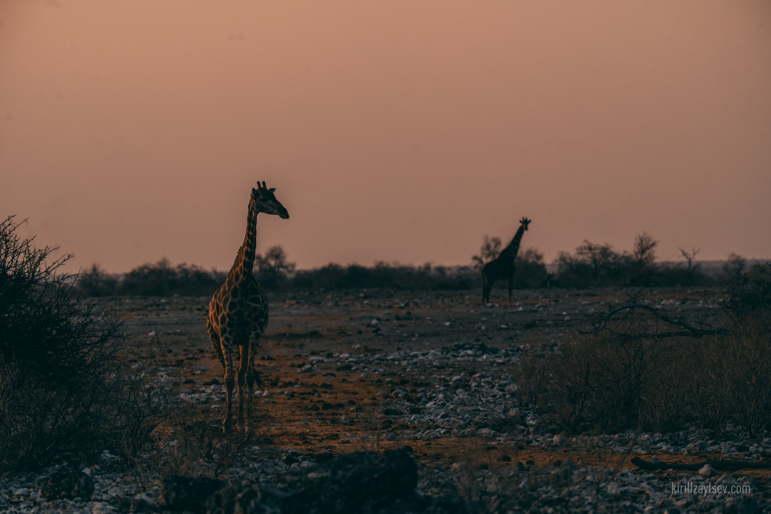 Жизнь. Профессиональный фотограф Кирилл Зайцев