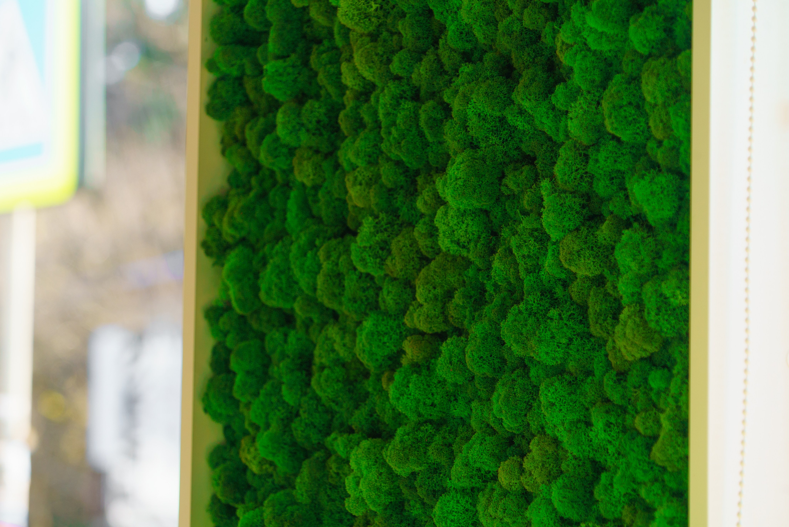 Кофейня факультет — фото и видео. Шедевры для Вас! Фотограф и Видеограф в Краснодаре Пахиев Руслан