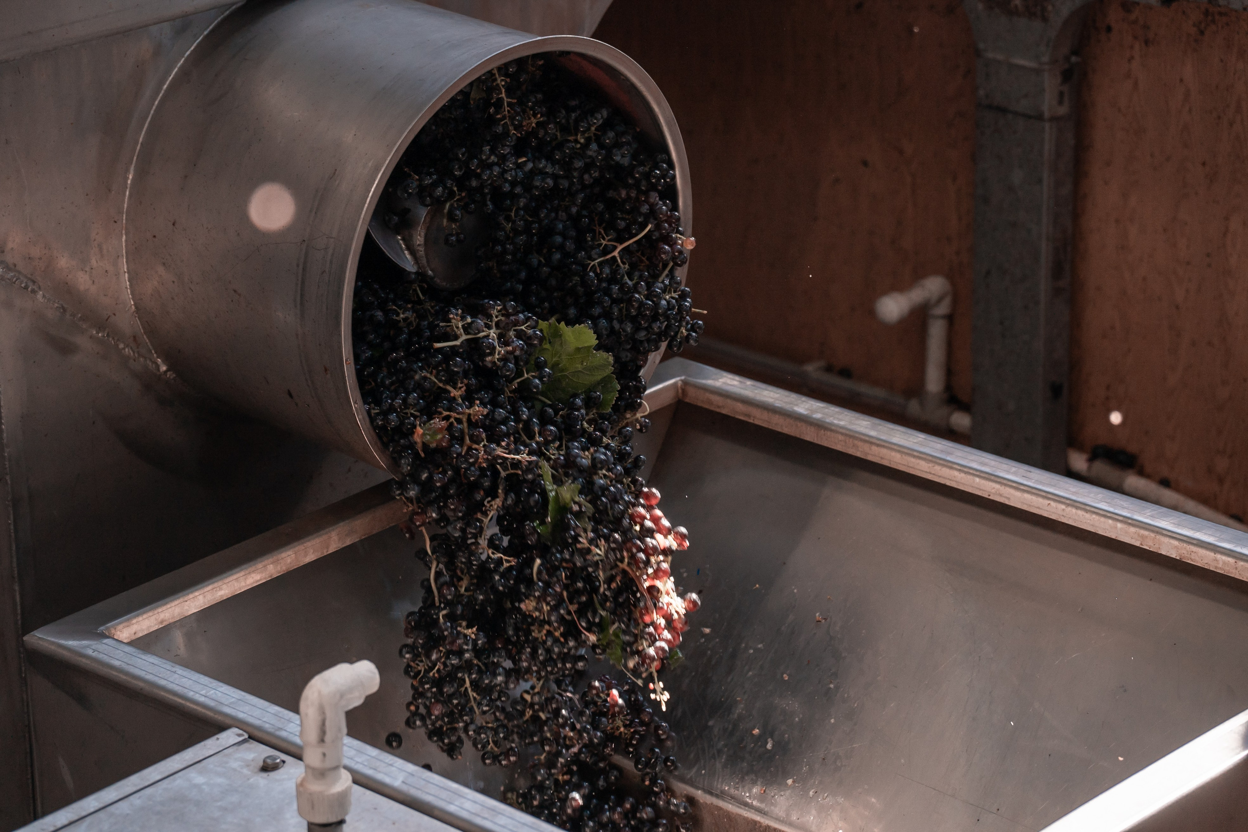 Винзавод. Фотограф из Краснодара Чеснокова Екатерина