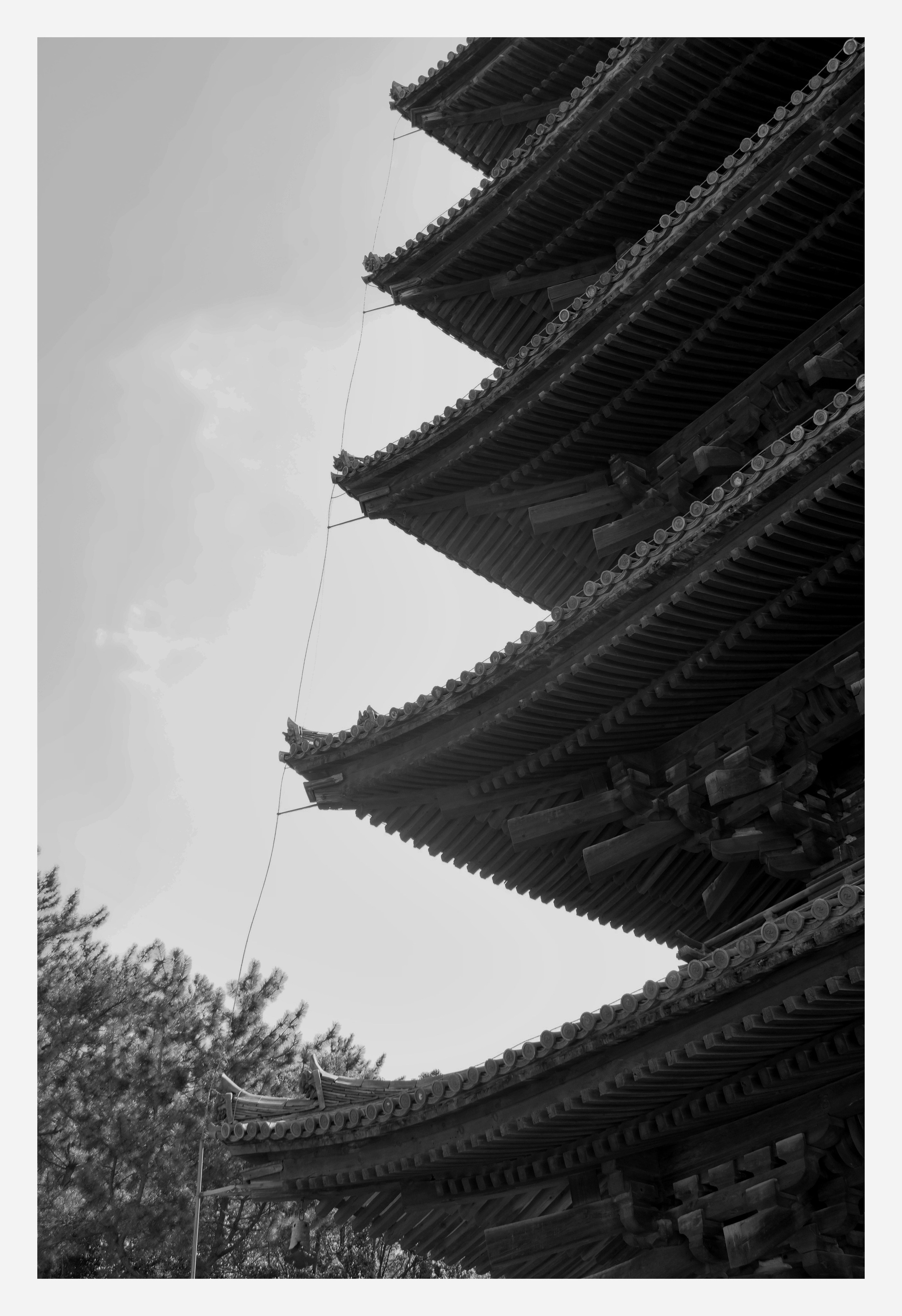 ЯПОНИЯ. Семейный и travel-фотограф из Израиля