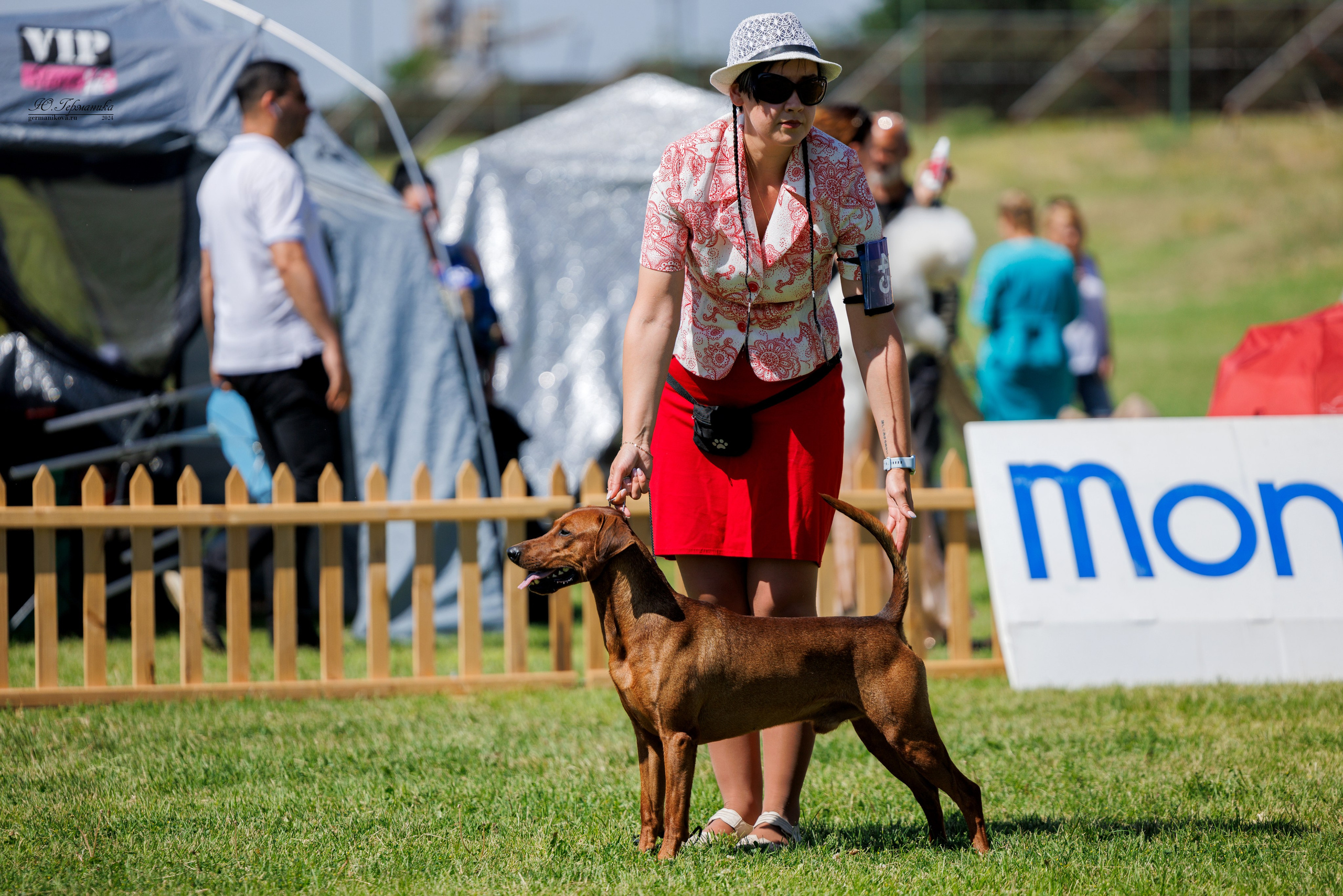 Ереван 3-5.06.2024. Фотограф-анималист Юлия Германика