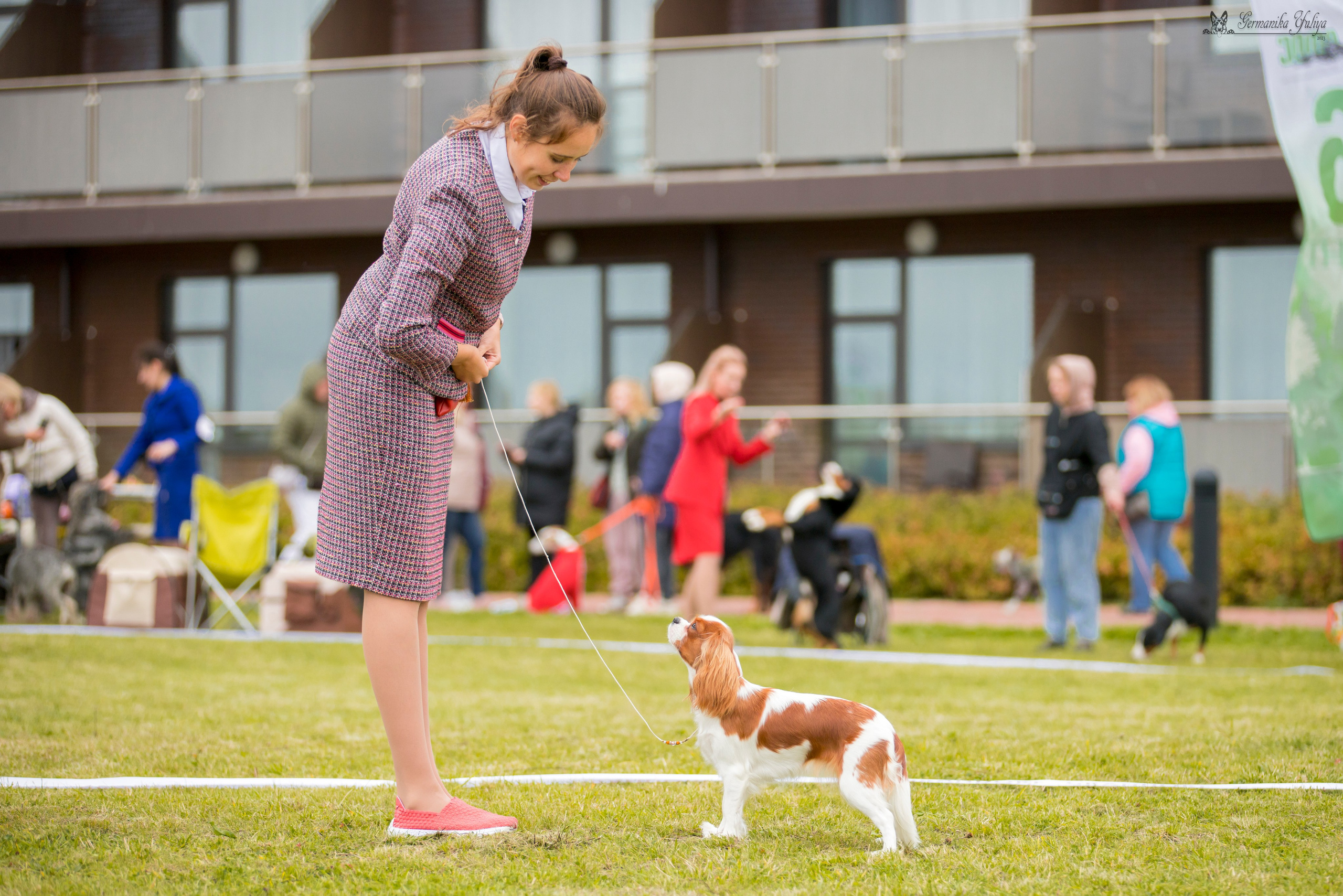Переславль 9-10.09.2023. Фотограф-анималист Юлия Германика