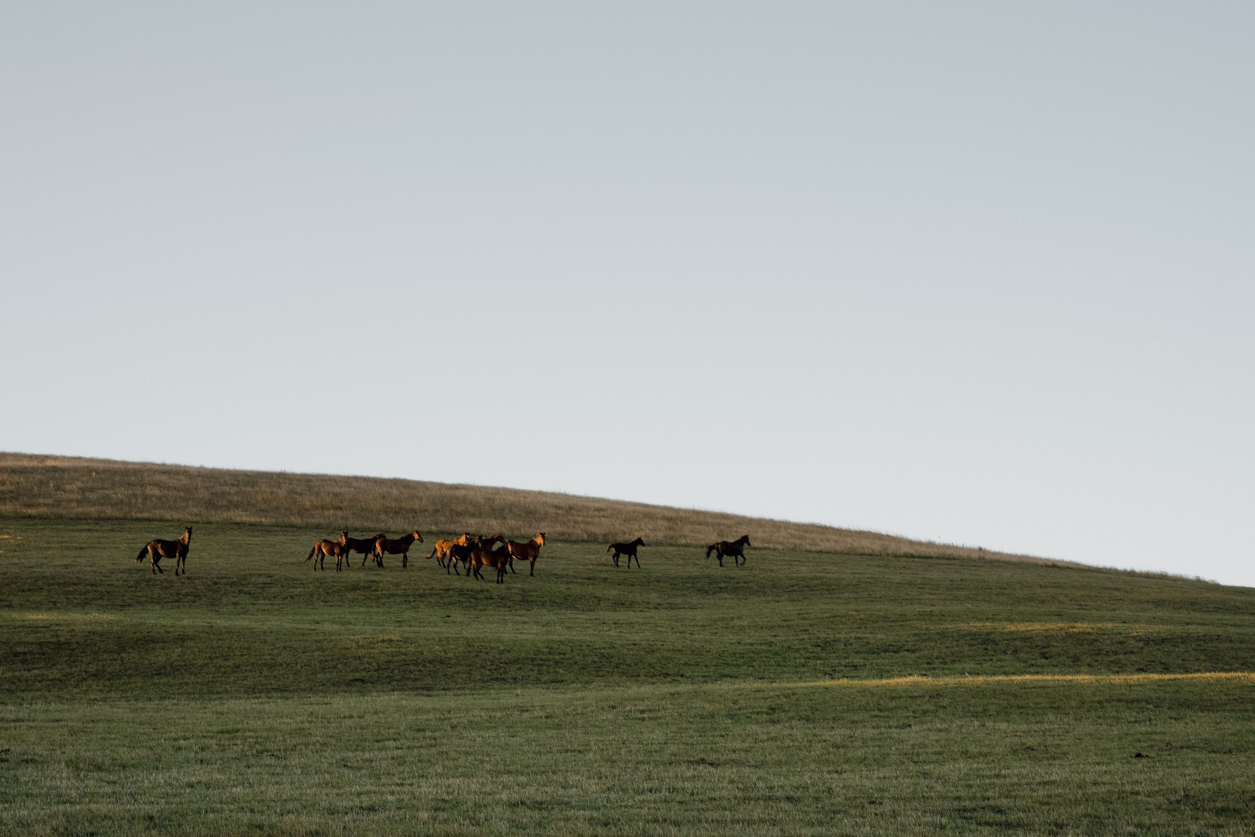 Секреты Нашего Счастья. Свадебный и семейный фотограф Афанасьева Анна в Кисловодске