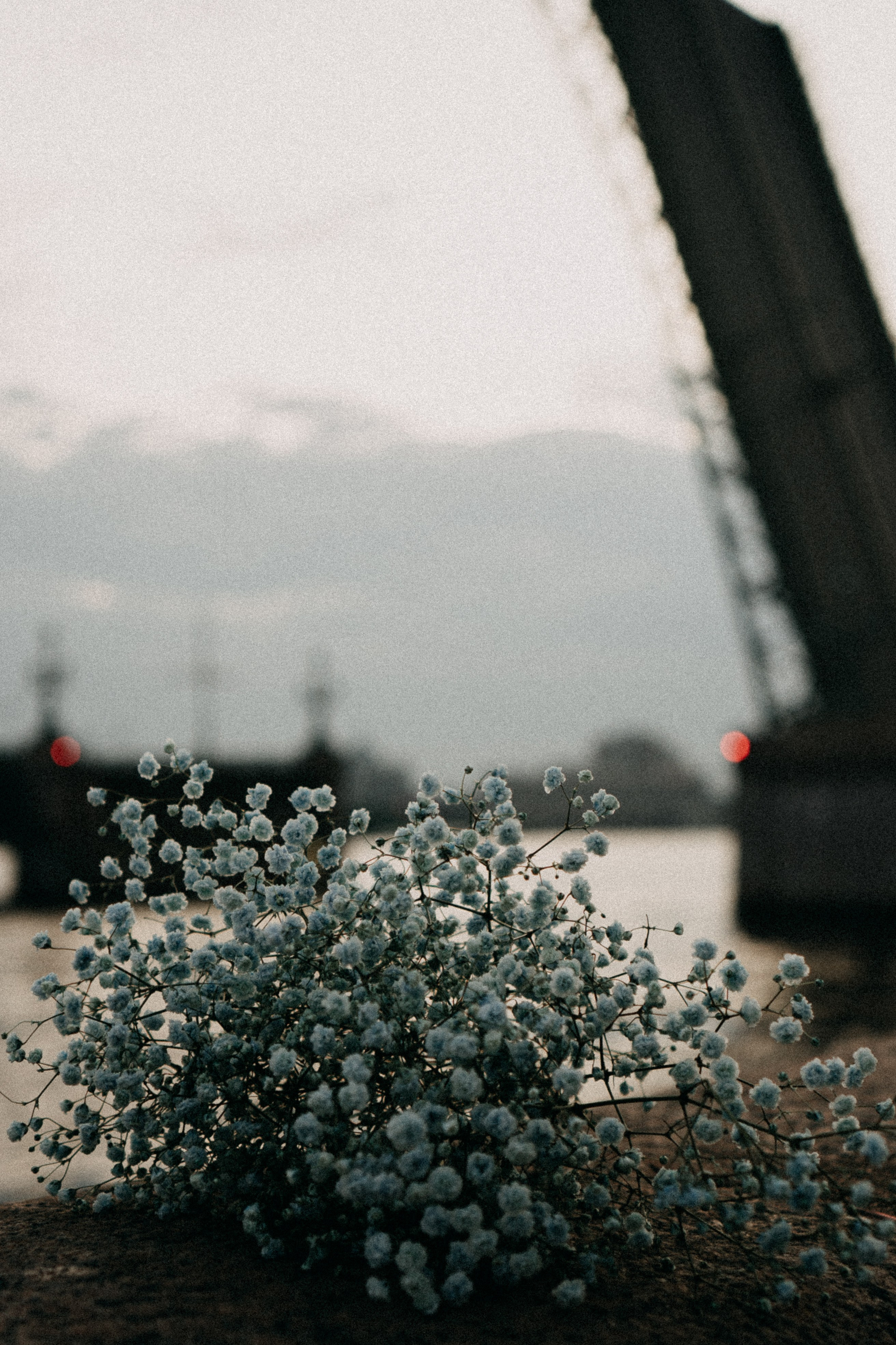 Рассветная. Профессиональный фотограф, Санкт-Петербург — Виктория Богомолова