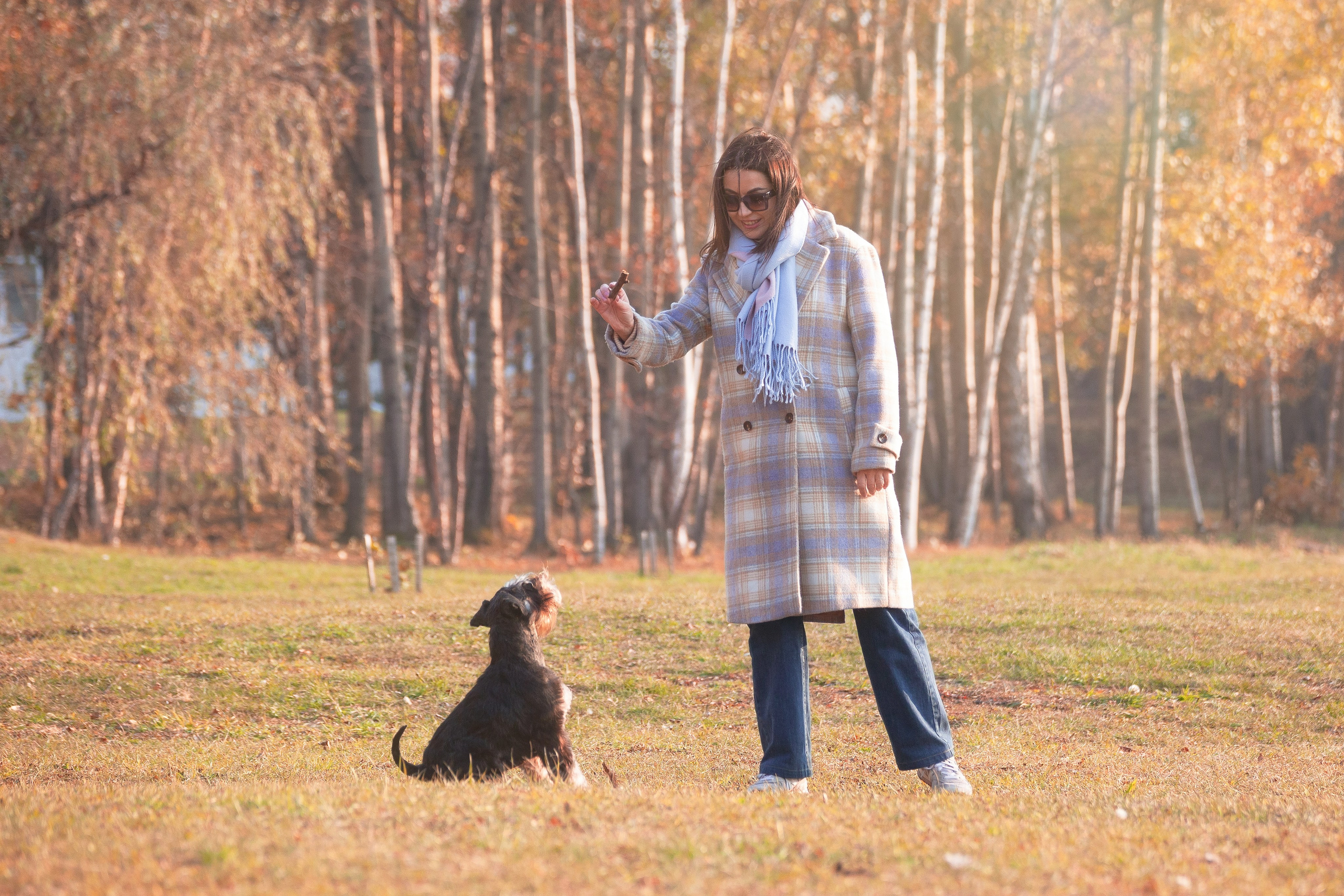 Люди и питомцы. Slavilada-Лапки. Свет. Любовь… Профессиональная фотосессия питомцев Для памяти, пристройства и продажи. Хабаровск