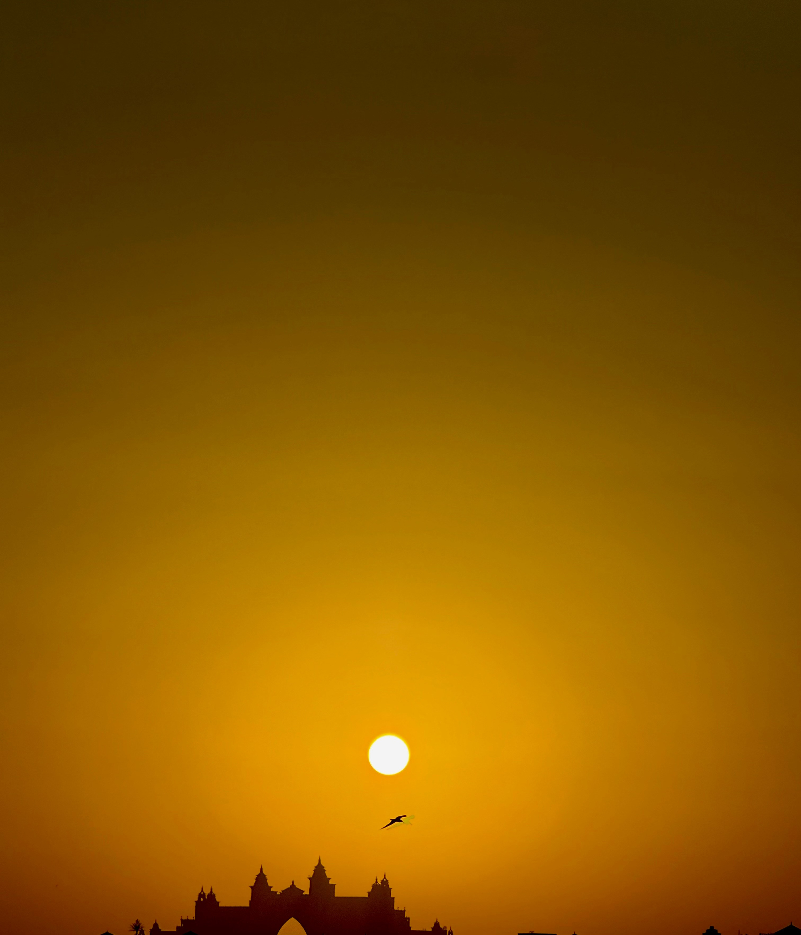 Фотограф Москва. Фотограф и художник в Москве Евгения Нюнина