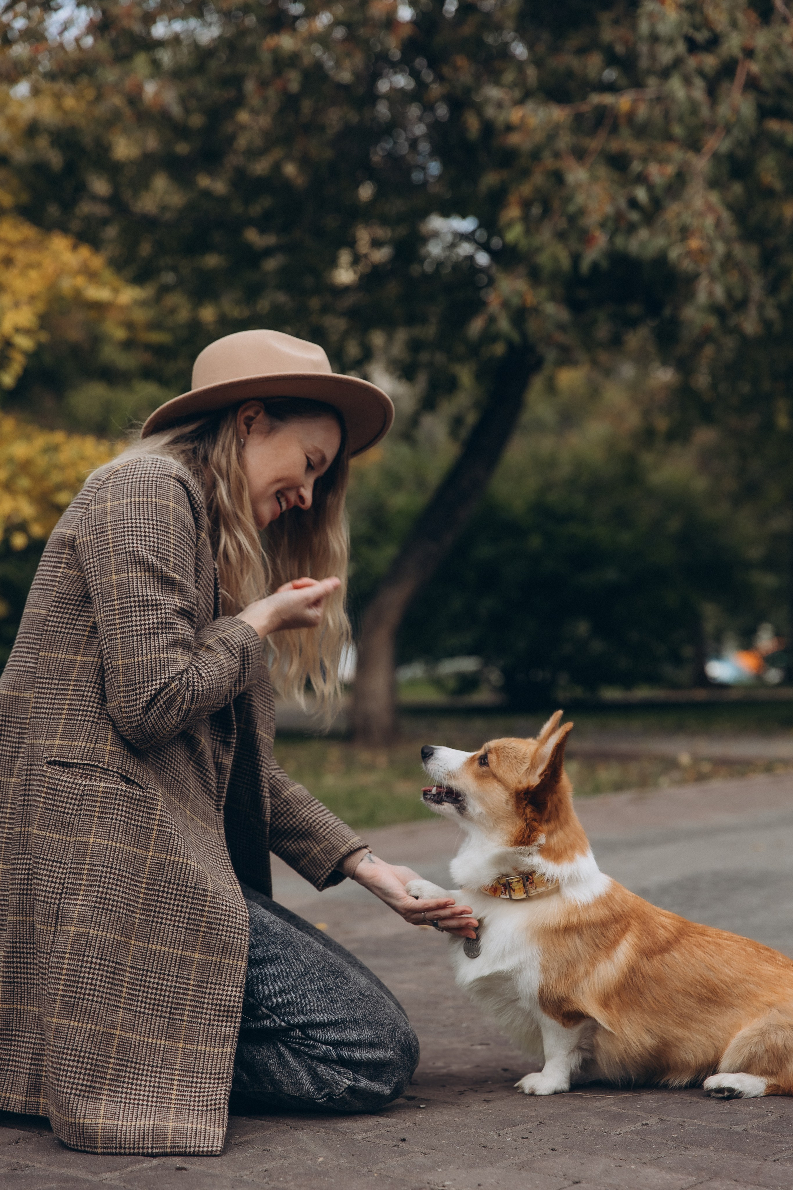 «Королевский Корги» 2. Фотограф Алина Ионычева в Новосибирске