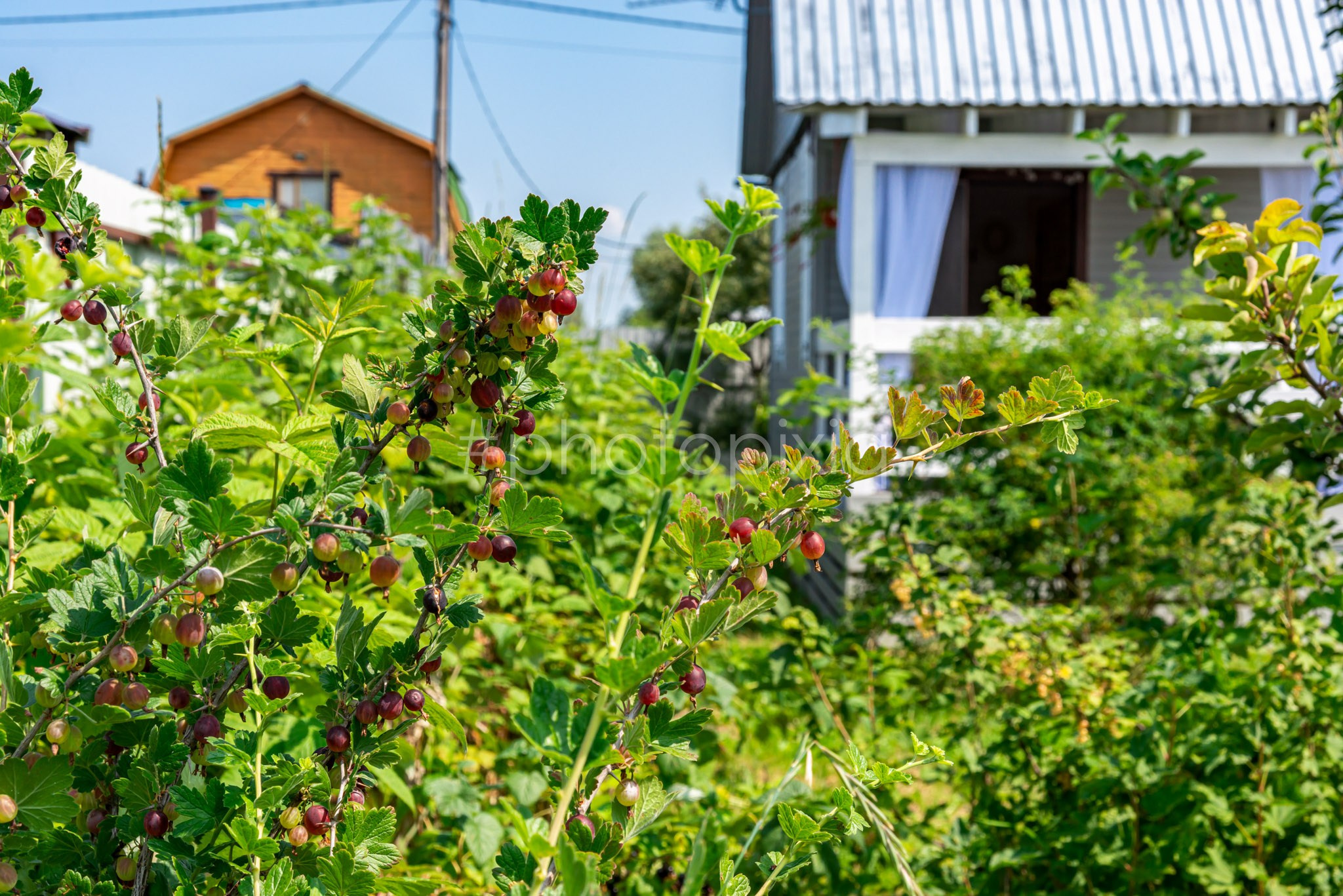 Съёмка дачного дома для продажи в ДНП Солнечный. Интерьерная съёмка и виртуальные туры — Интерьерный фотограф Кузнецов Сергей (photopixiq)