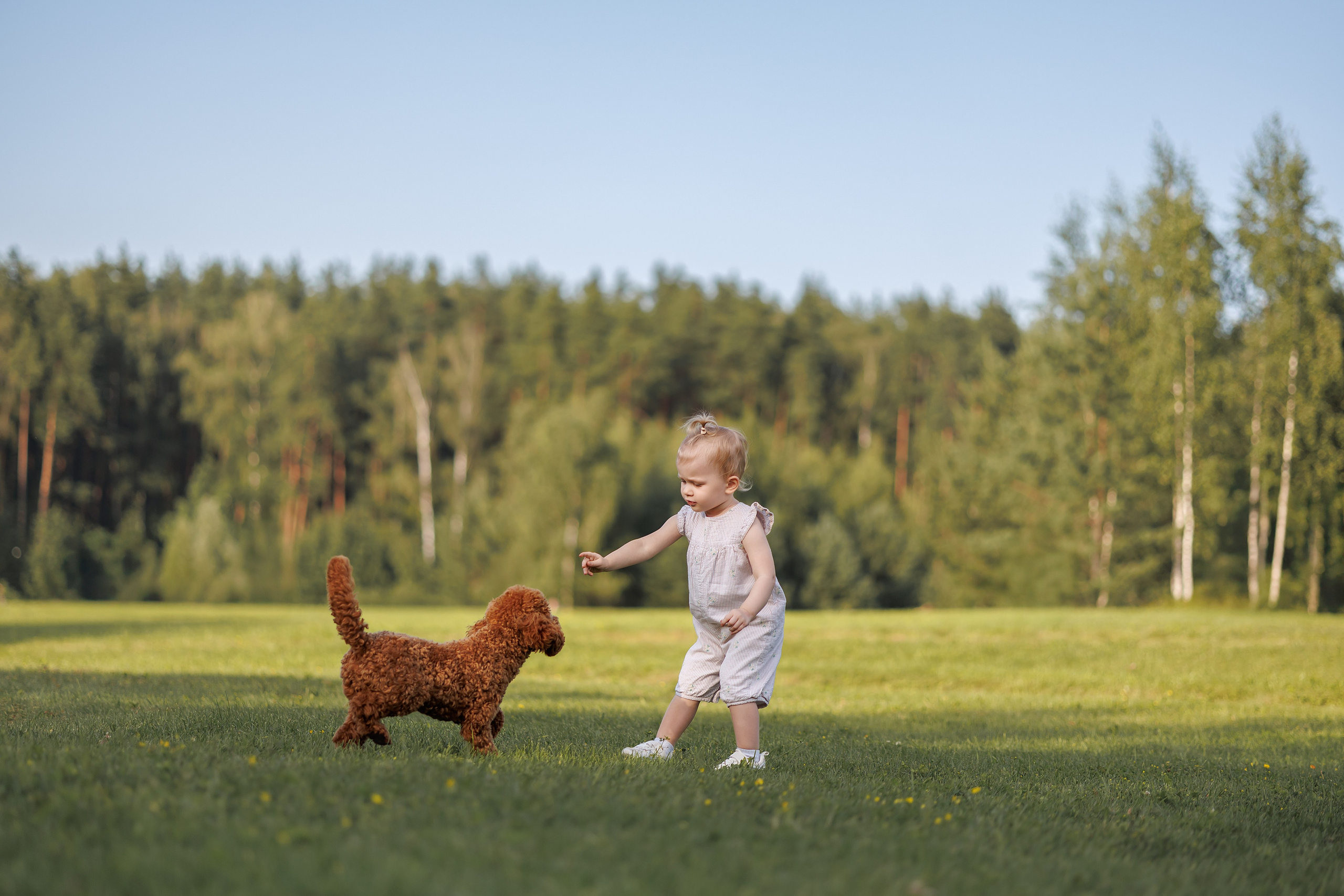 Алина и Лариса. Фотограф Анималист в Москве Анастасия Жучкова