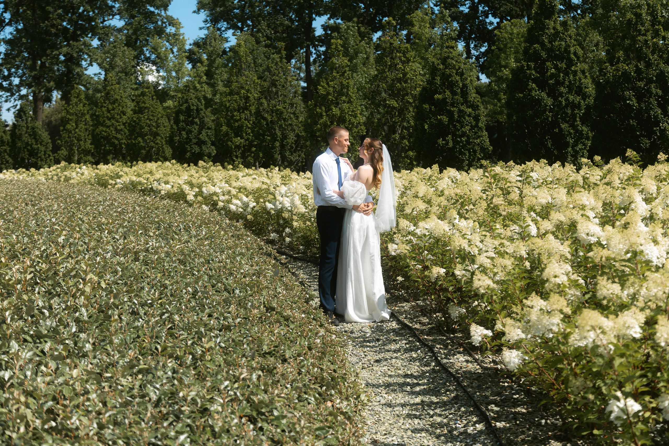 Парк Галицкого. Артур Иликчян — Wedding & Event фотограф в Краснодаре