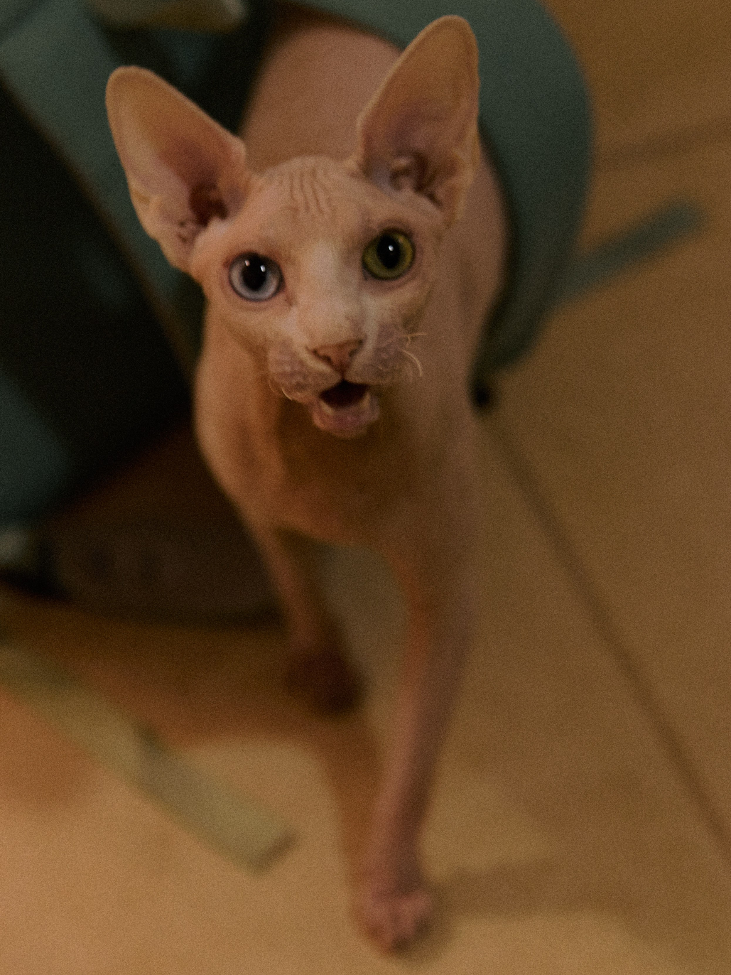 Диптих. Jorgis — фотограф в Хургаде / обучение фотографии