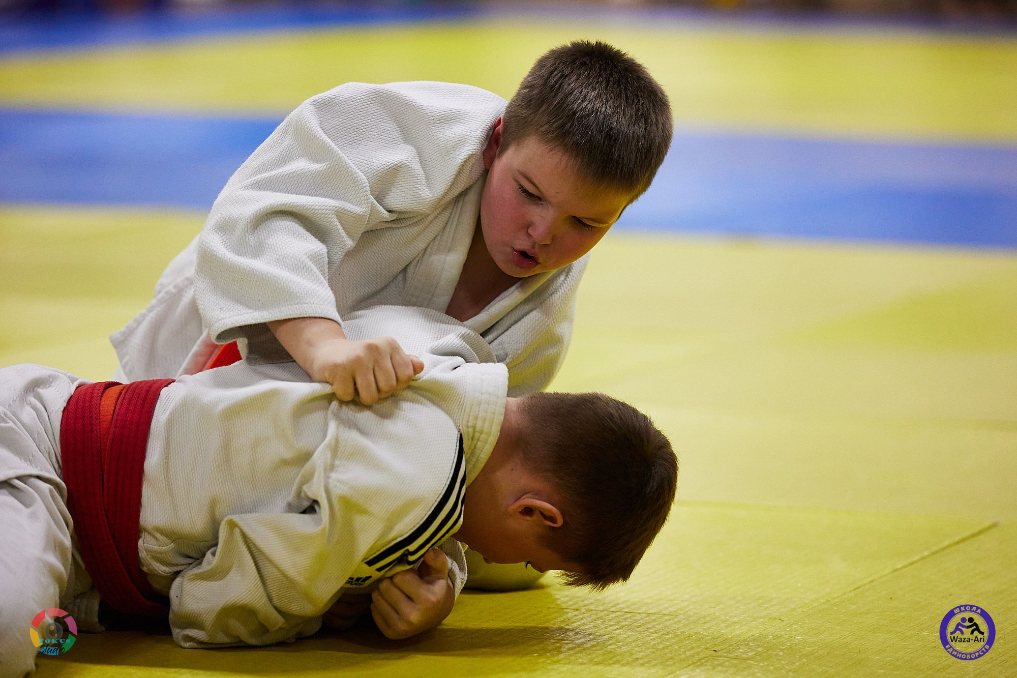 Репортаж Турнир по дзюдо. Спортивный фотограф Некрасов Денис