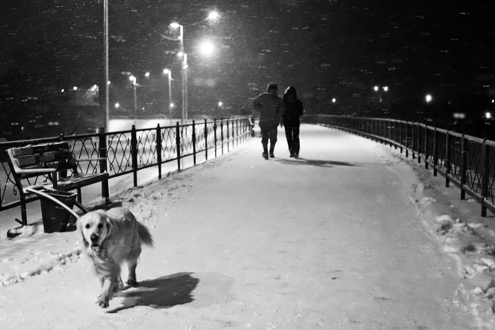 Улицы. Фотографии Марины Бурнашовой