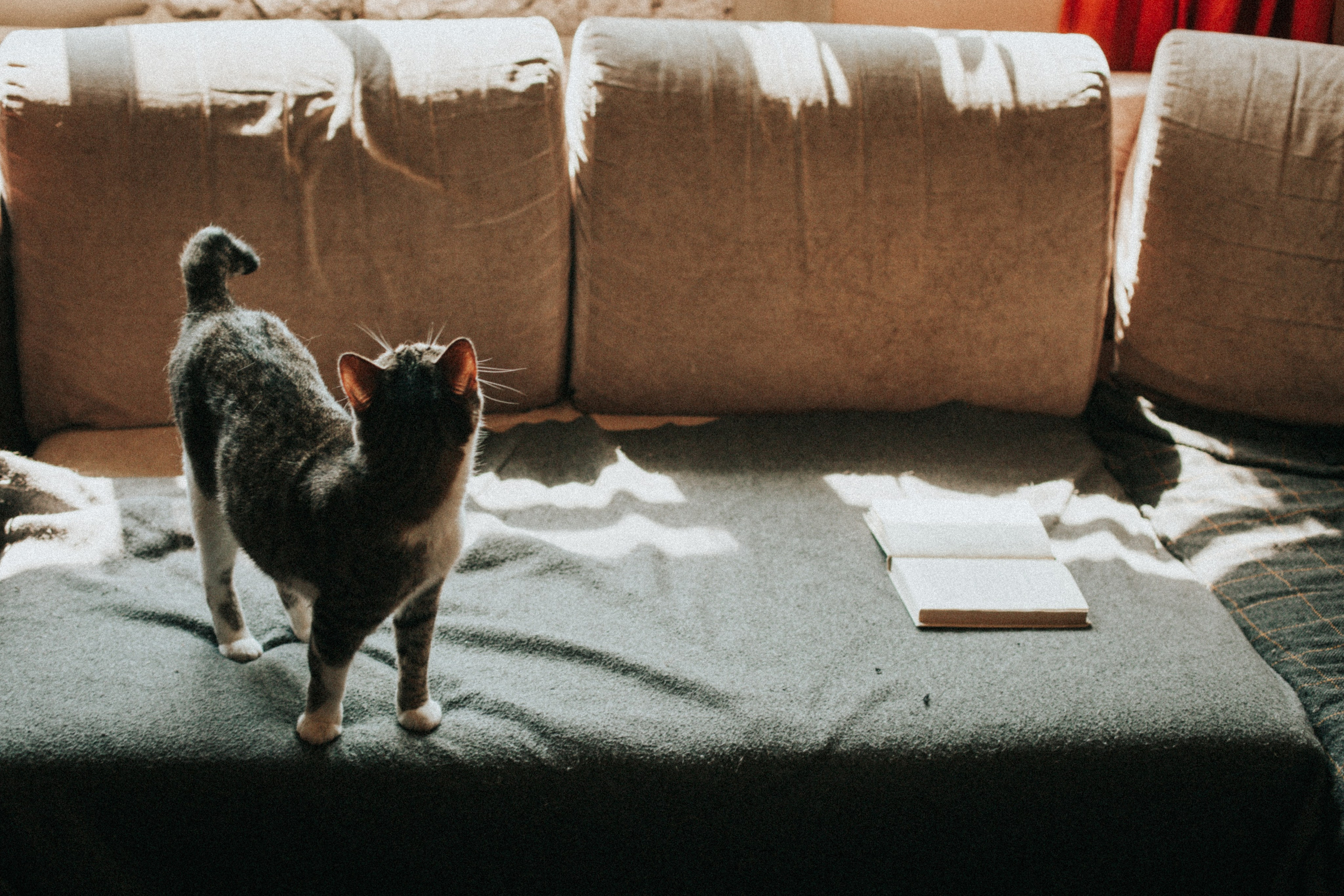 Юля Заковеря. Фотограф в Нижнем Новгороде