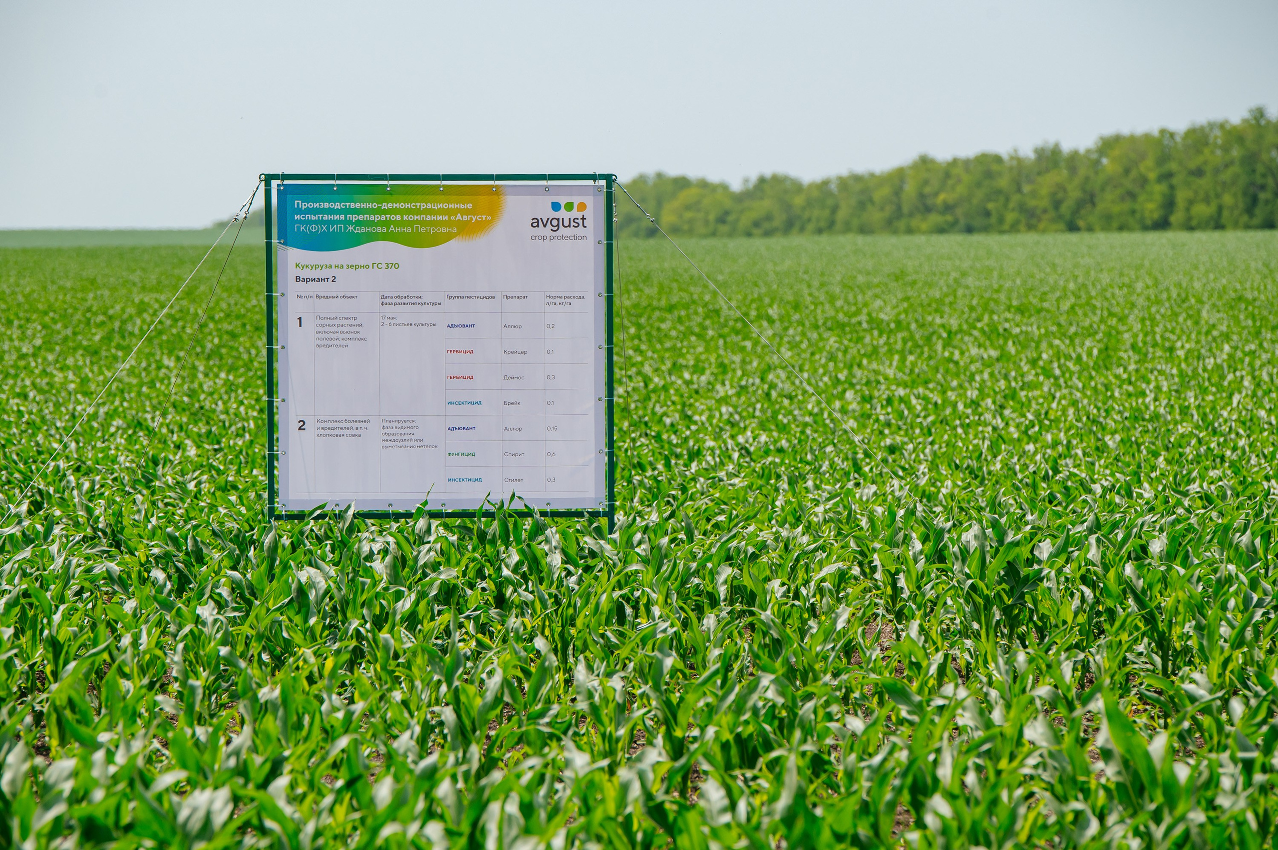 День поля. Главная