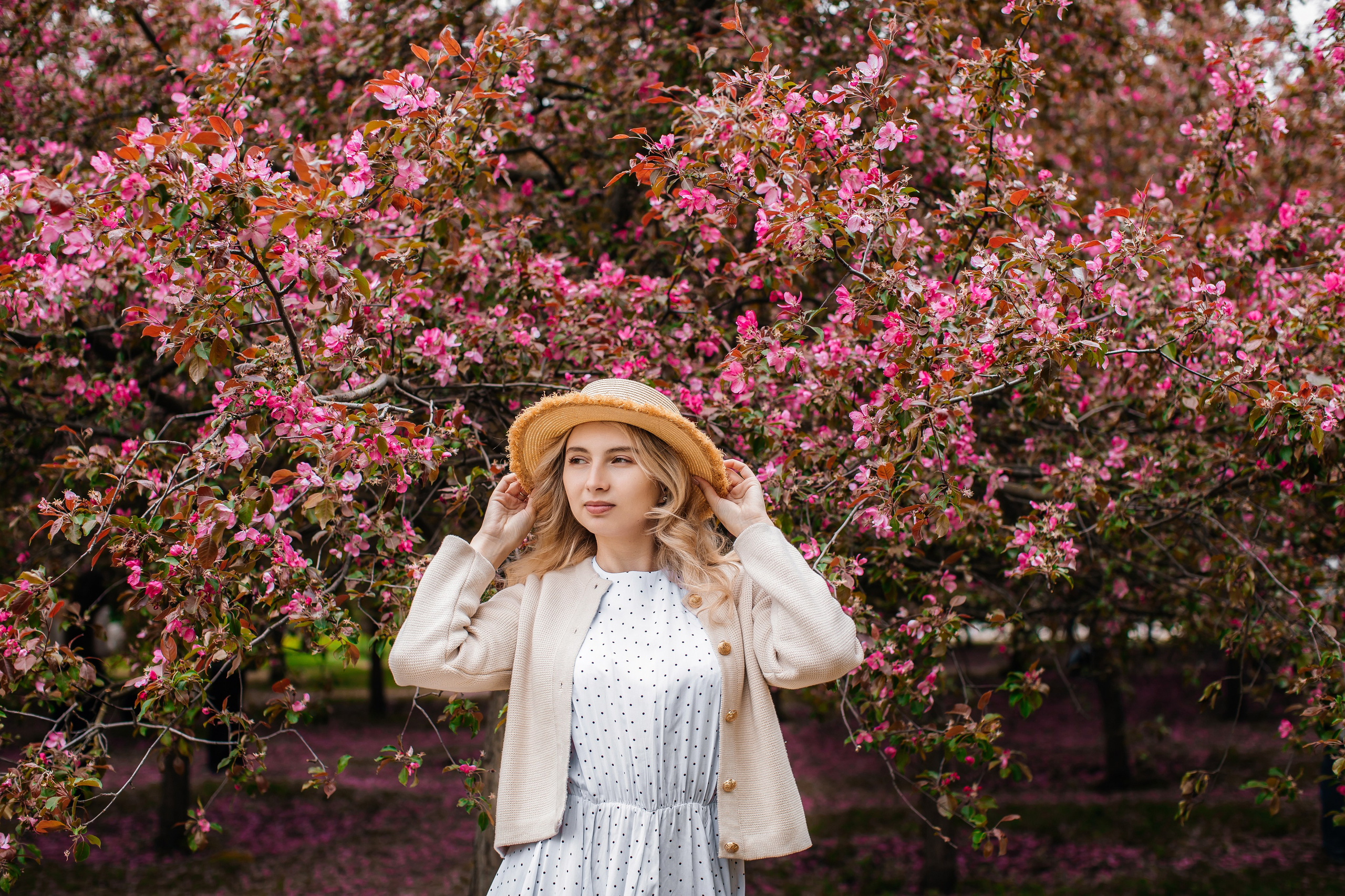 Цветение. Анастасия Давыдова