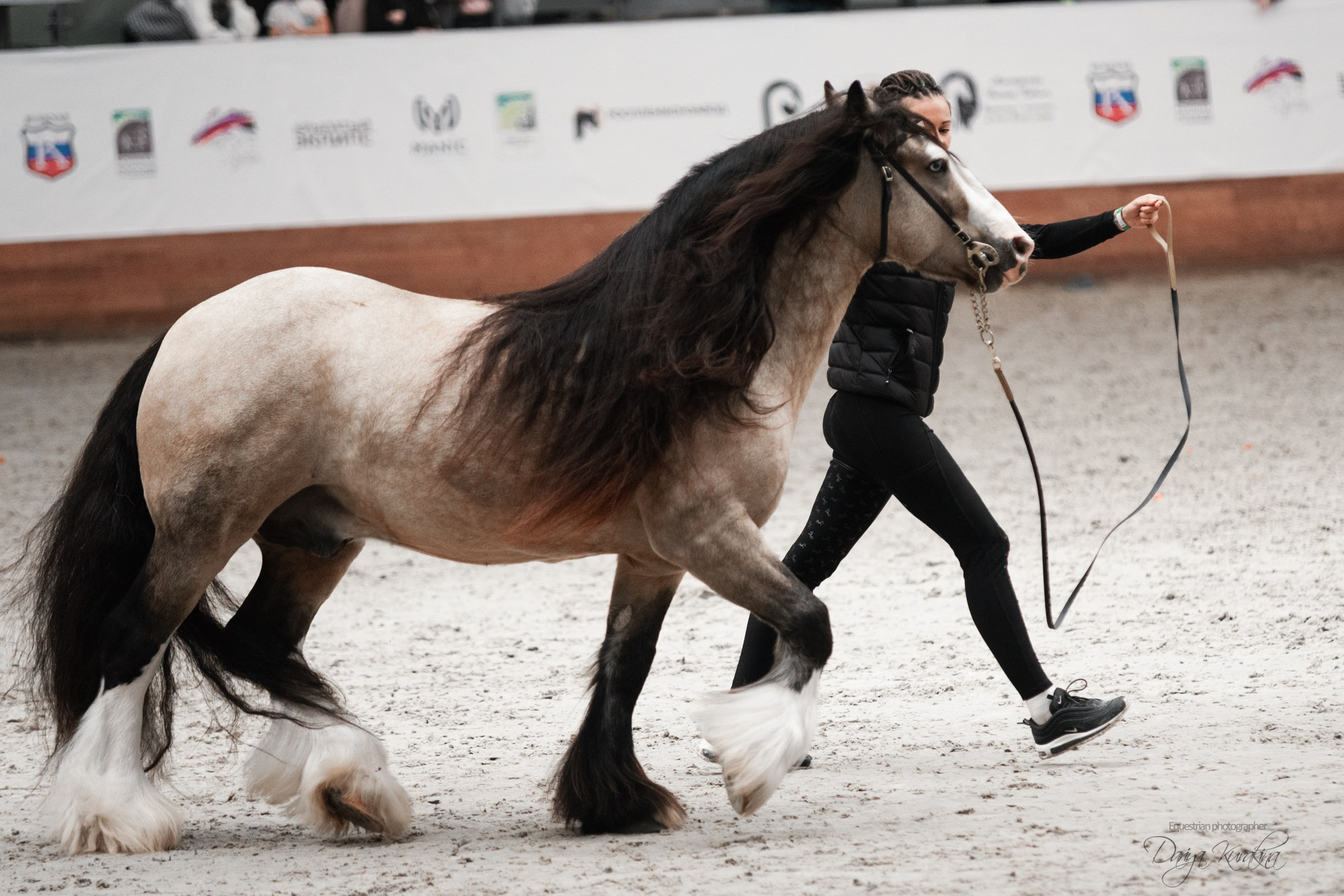 8-я международная выставка Конная Россия. Конный фотограф Куракина Дарья • Фотосессии с лошадьми
