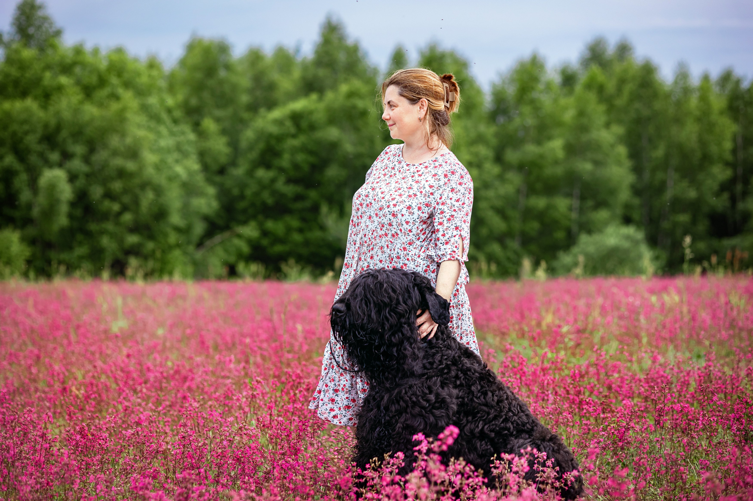 Смолка клейкая. Фотограф анималист Аня Ливанова | Рыбинск