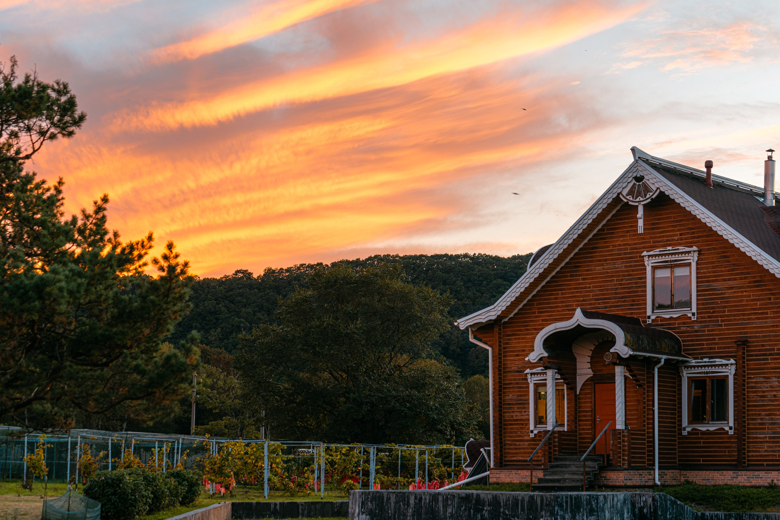 Майхинское хозяйство. Иван Зайцев (IZIART) — создание культурного кода через фото и видео