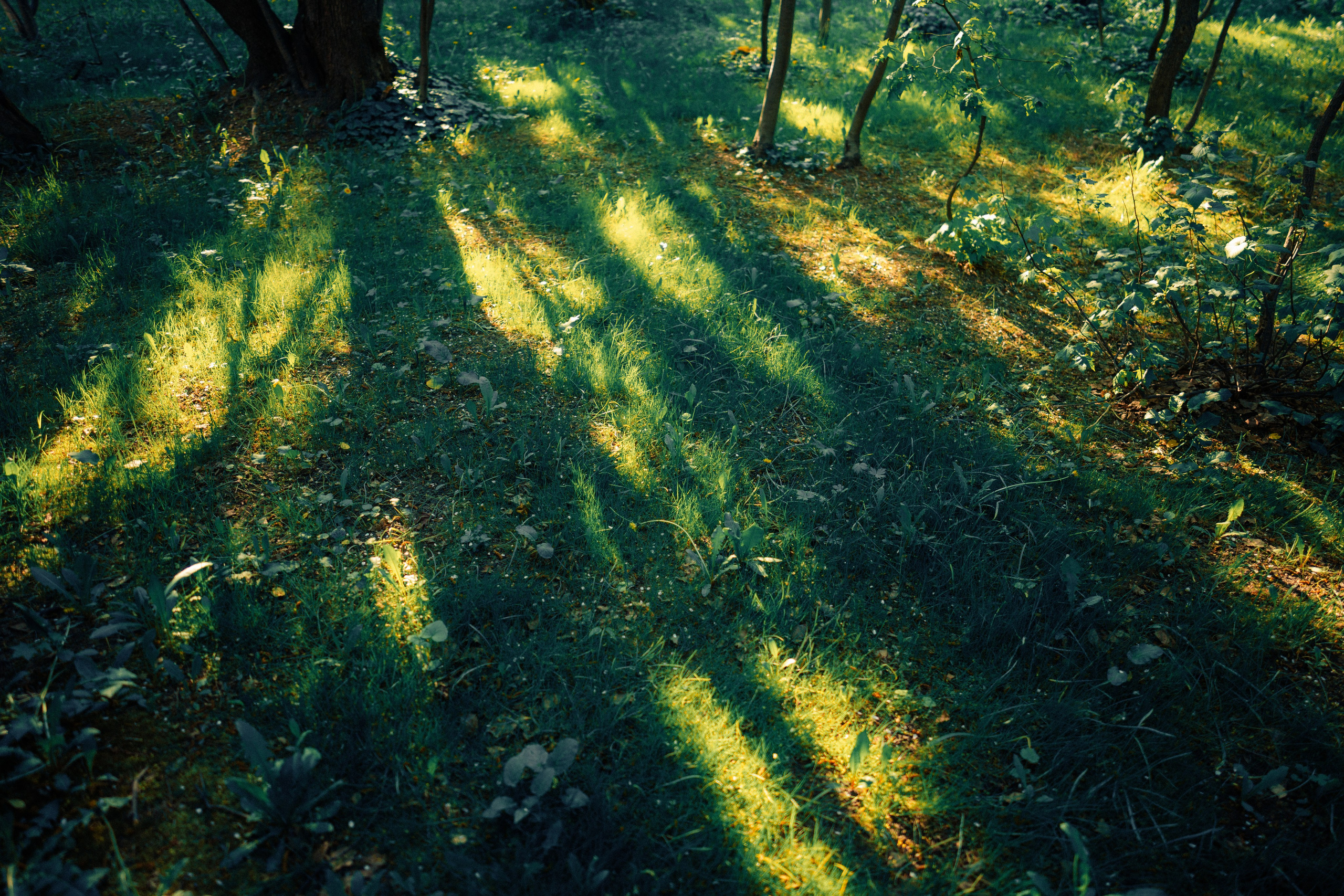 地方历史博物馆. Ivan Zaitsev (IZIART) — 通过照片和视频创建文化代码