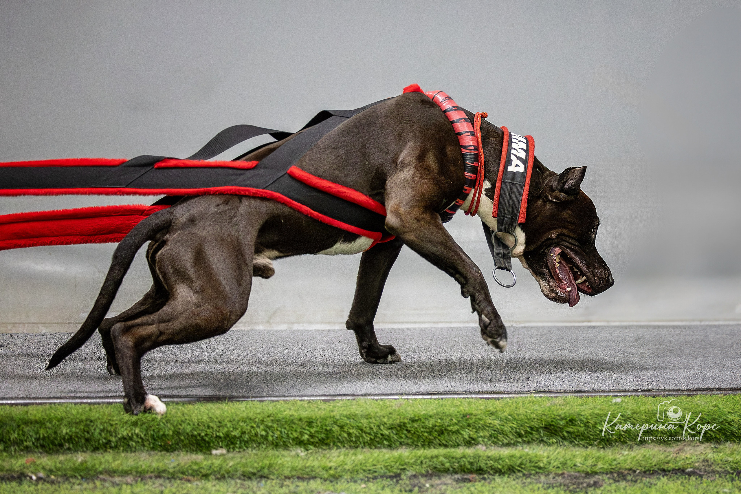 Спорт. Главная