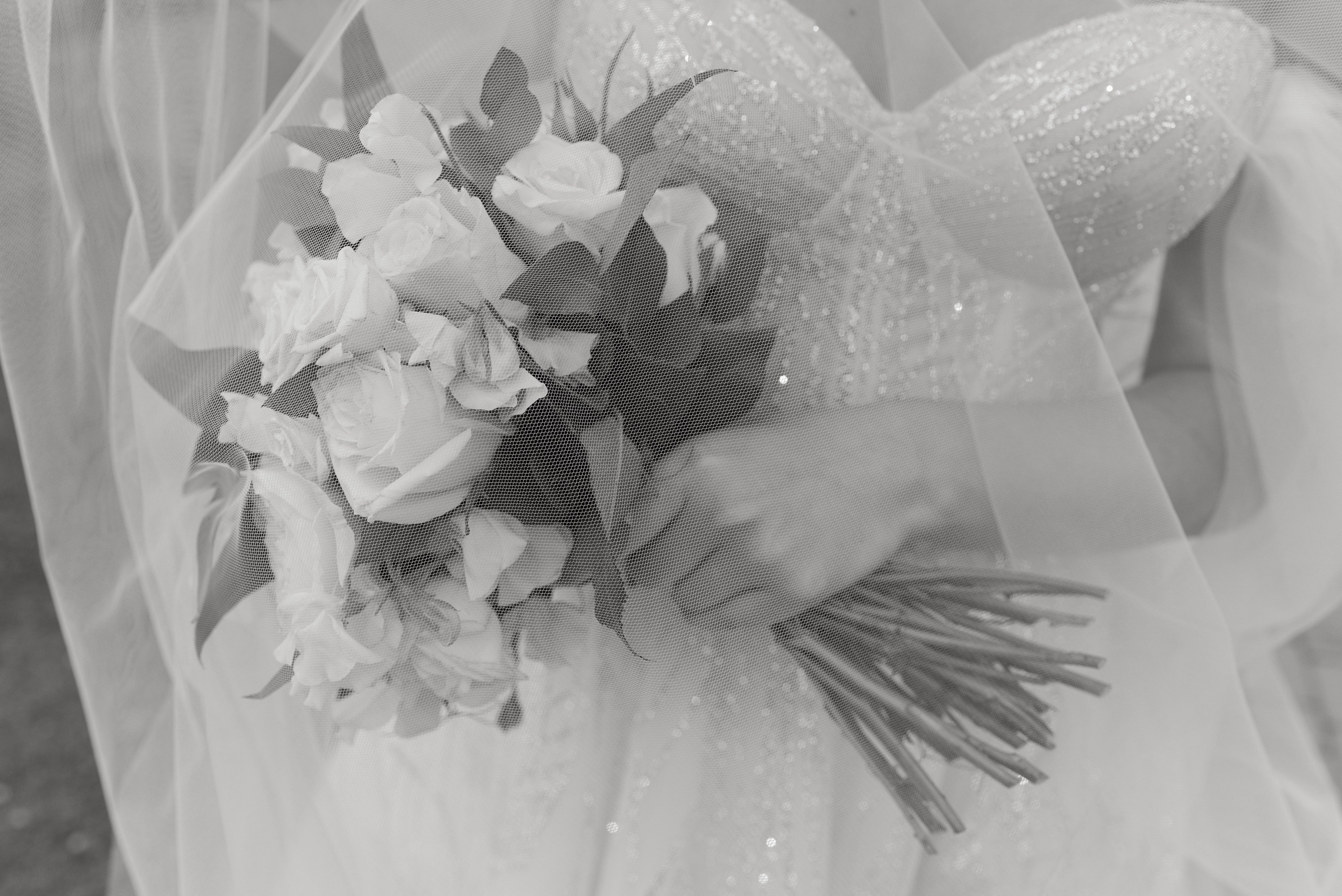 Анна и Дмитрий. Свадебный фотограф Александр Браво