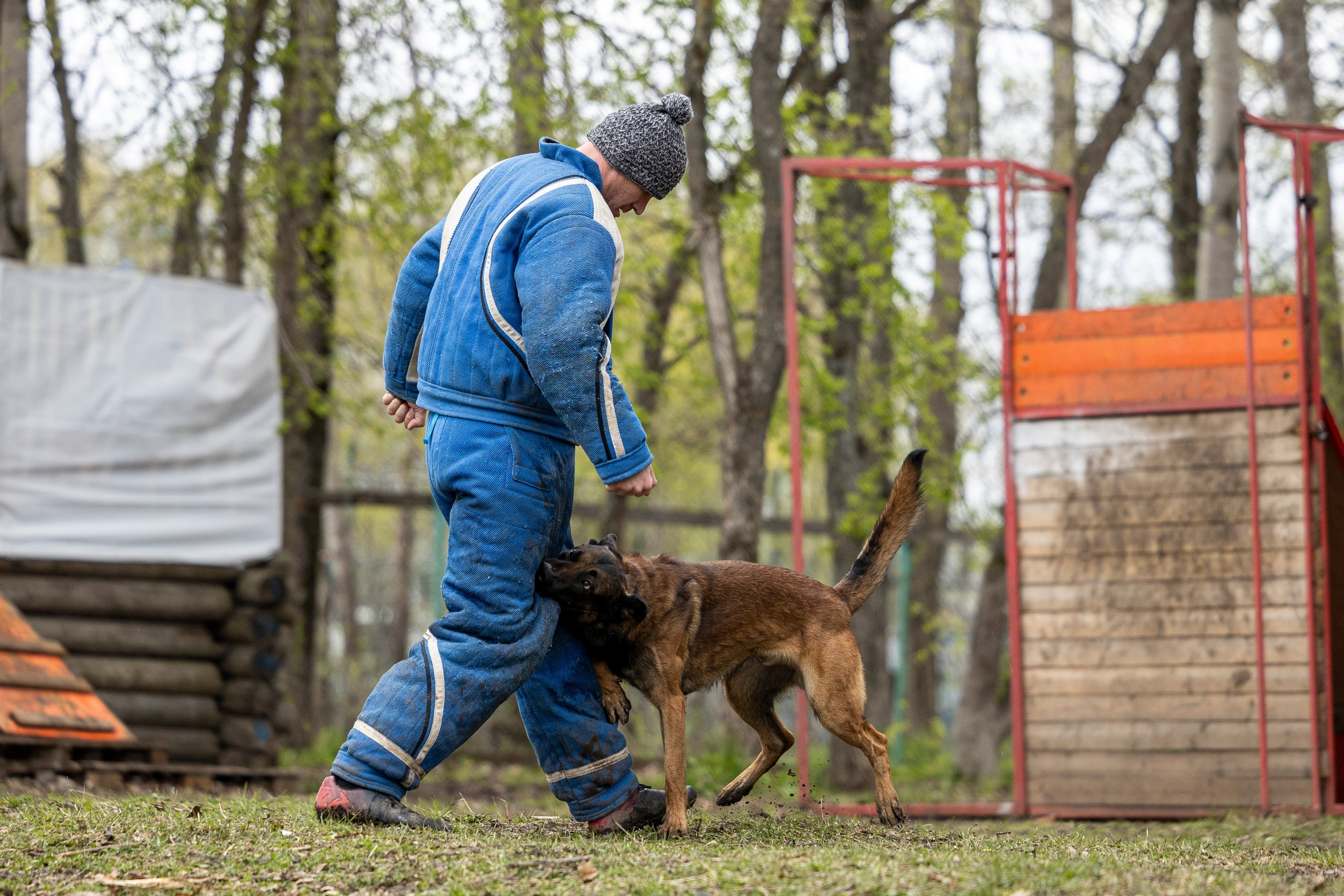 Квалификационные состязания по мондьорингу г. Вологда 11.05.24. Фотограф-анималист Анна Маринич