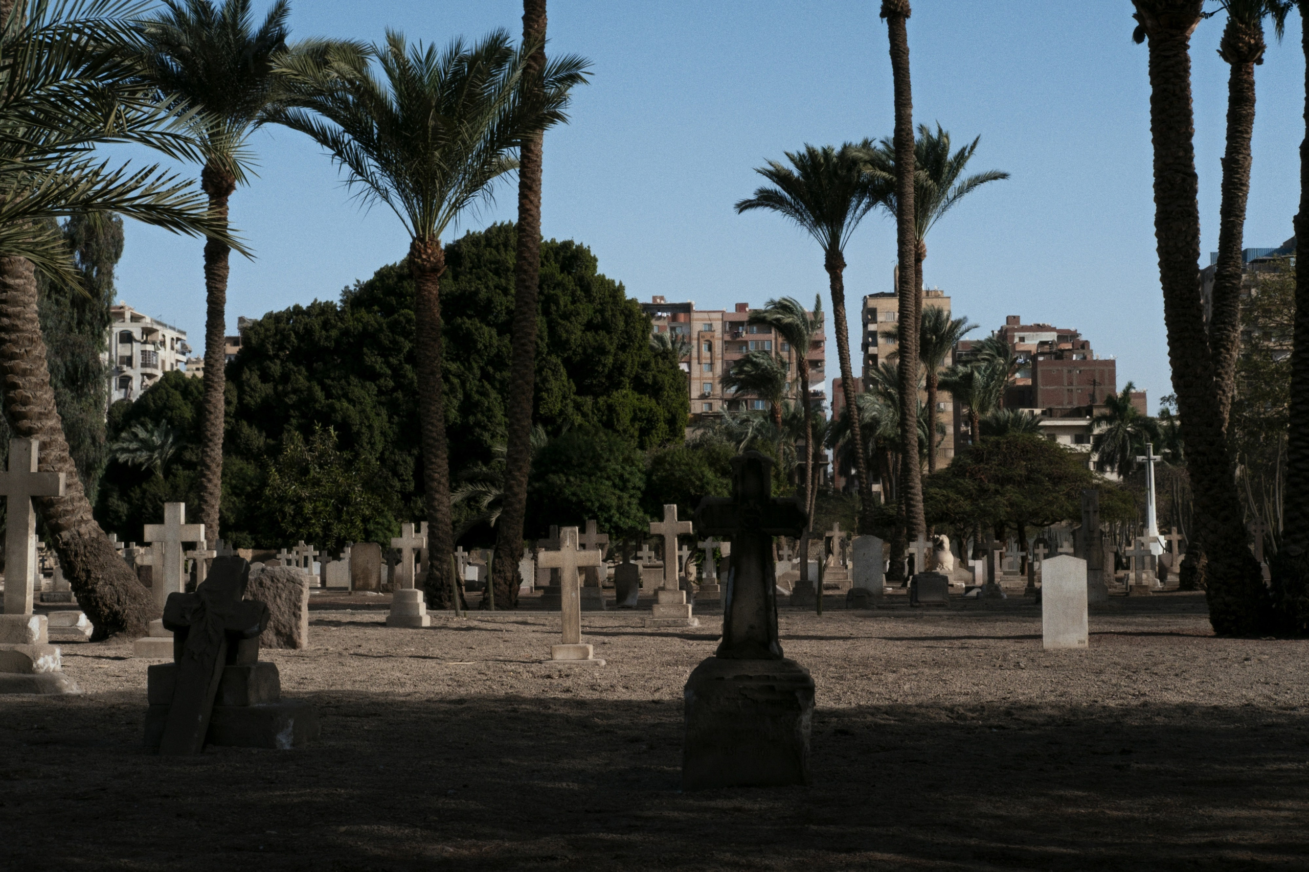 War Memorial Cemetery / Cairo, Egypt AW25. Фотограф Юрин Евгений