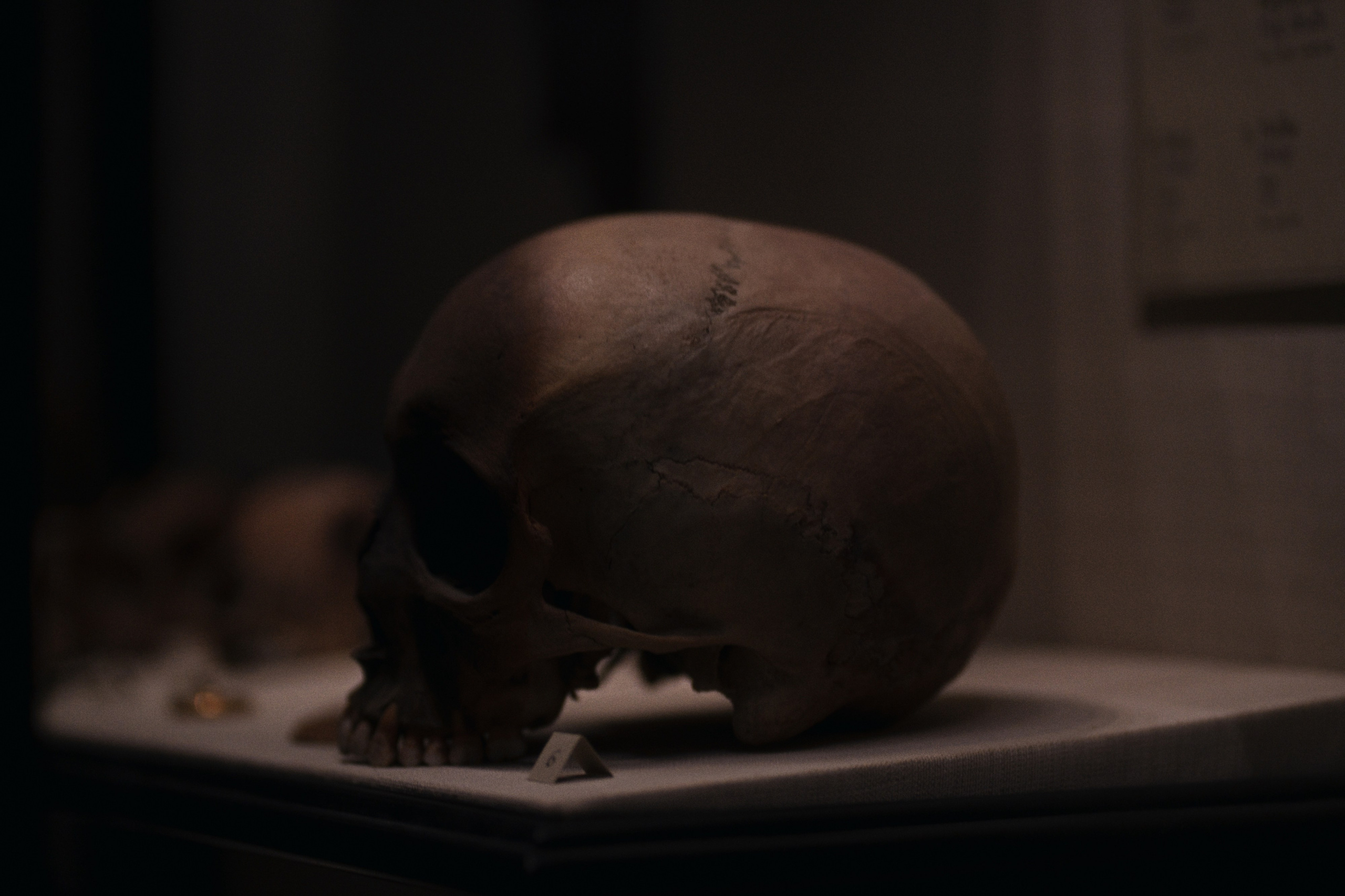 Archaeological Museum / Istanbul, Türkey SS25. Фотограф Юрин Евгений