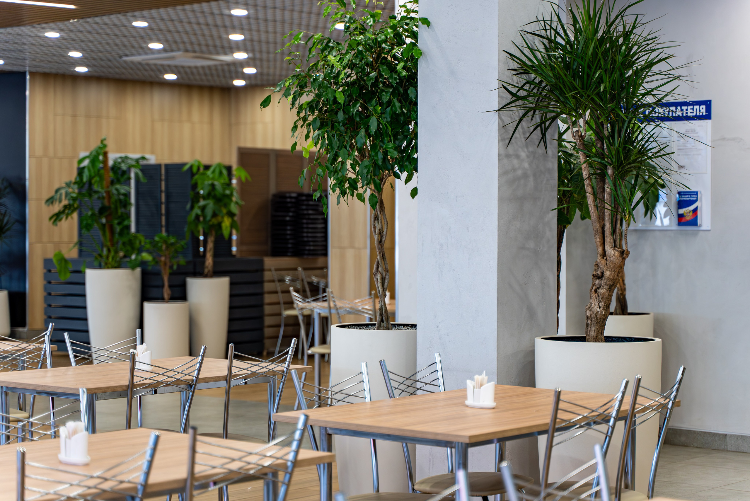 Индустриальный парк — озеленение. KUSTOV PRODUCTION — профессиональная фотосъёмка в Москве