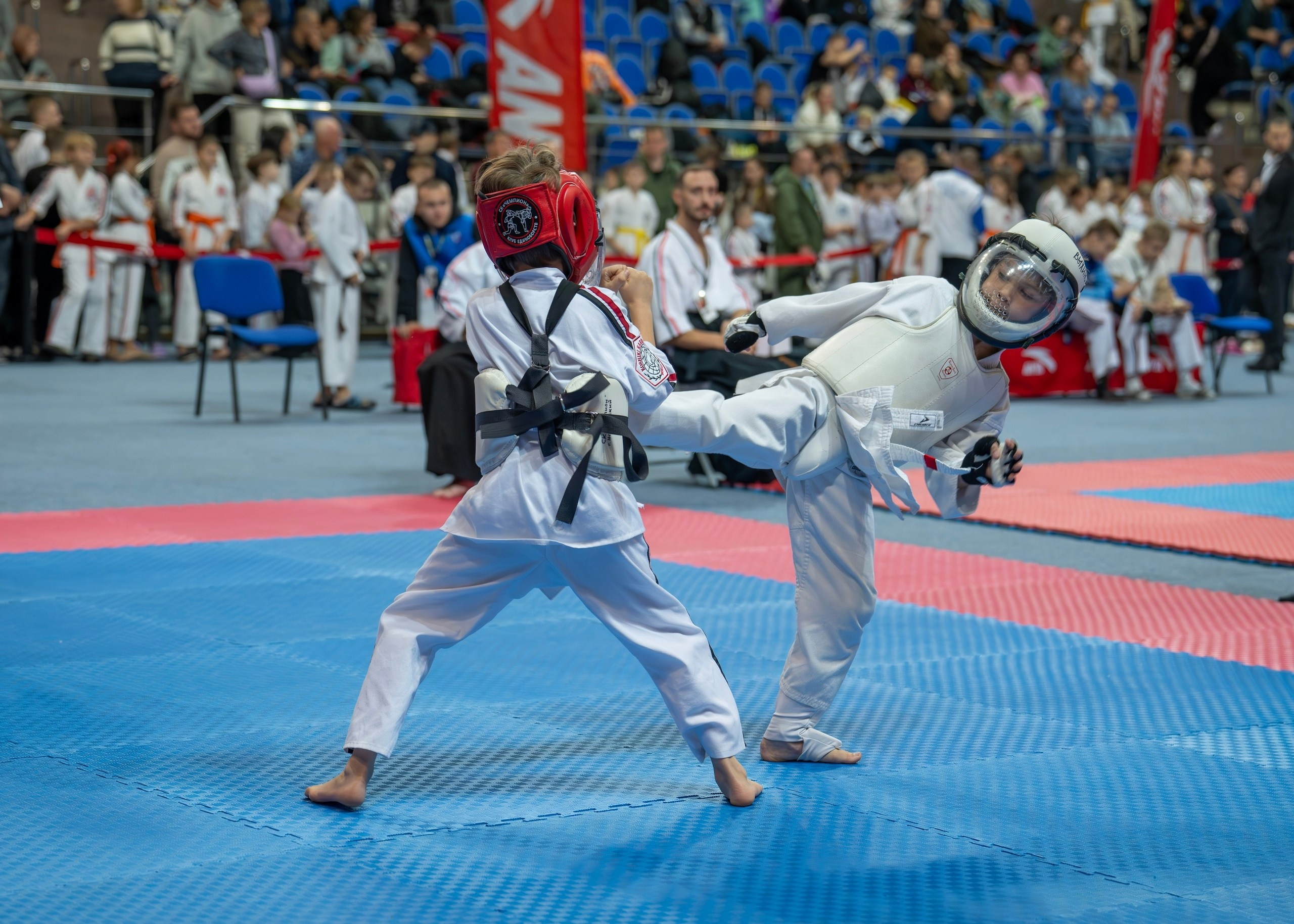 Единоборства. Профессиональный фотограф ДМИТРИЙ ЕГОРОВ