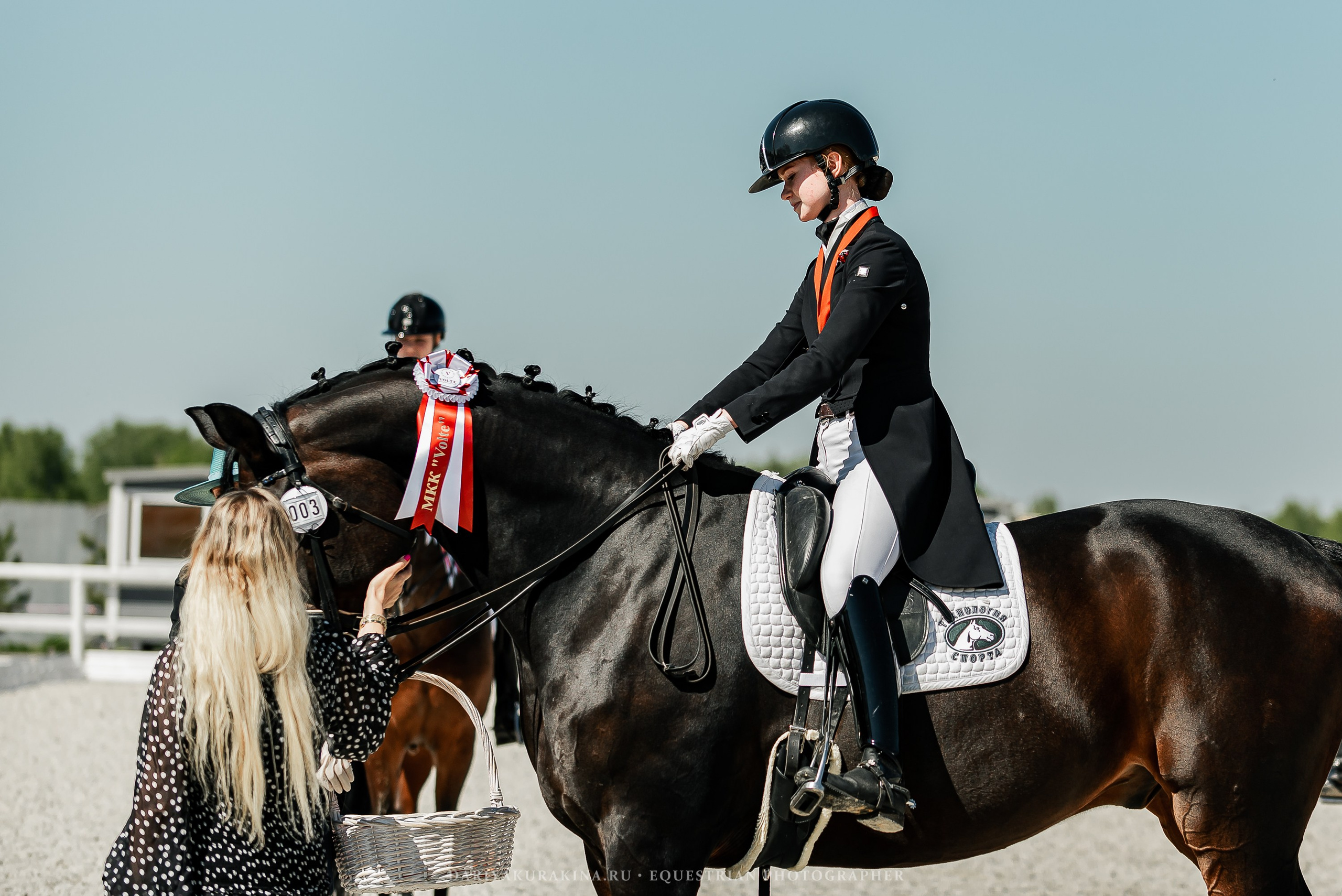 РЕПОРТАЖ МКК ВОЛЬТ «LA TULIPS». Конный фотограф Куракина Дарья • Фотосессии с лошадьми