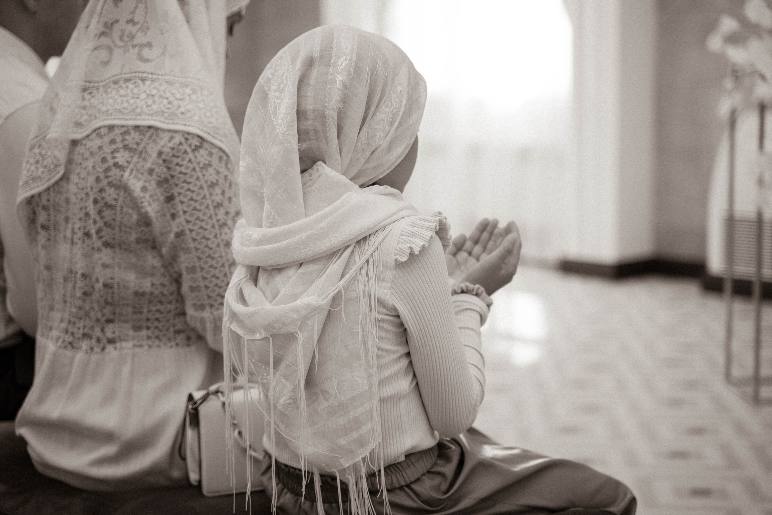 Дамир и Алина