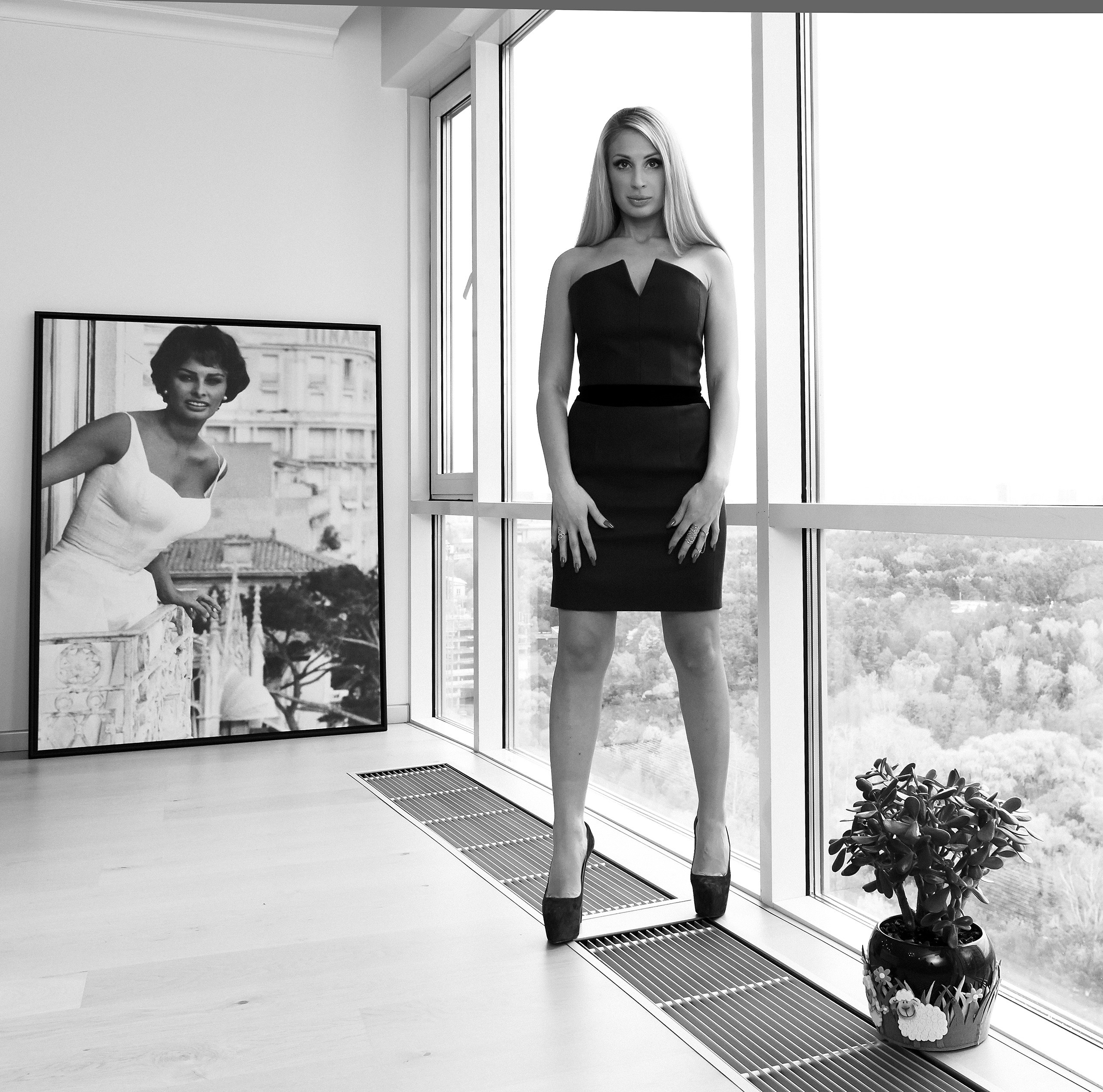 Портрет на фоне окна и Софи Лорен.