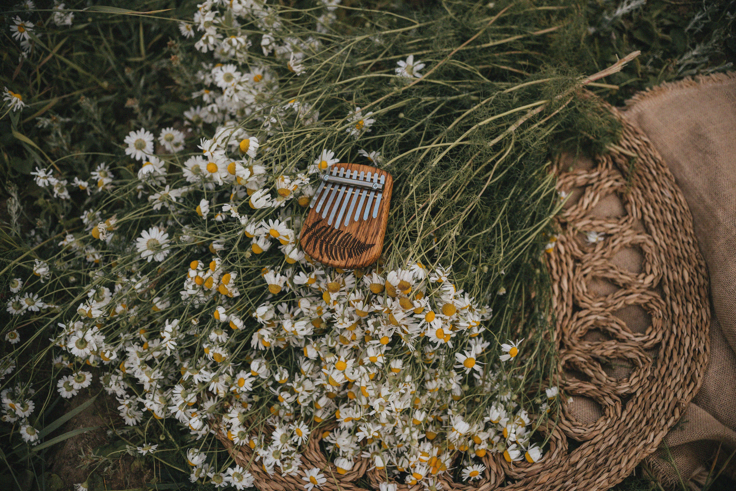 Лера и Варя. Детский и семейный фотограф Катерина Мишина