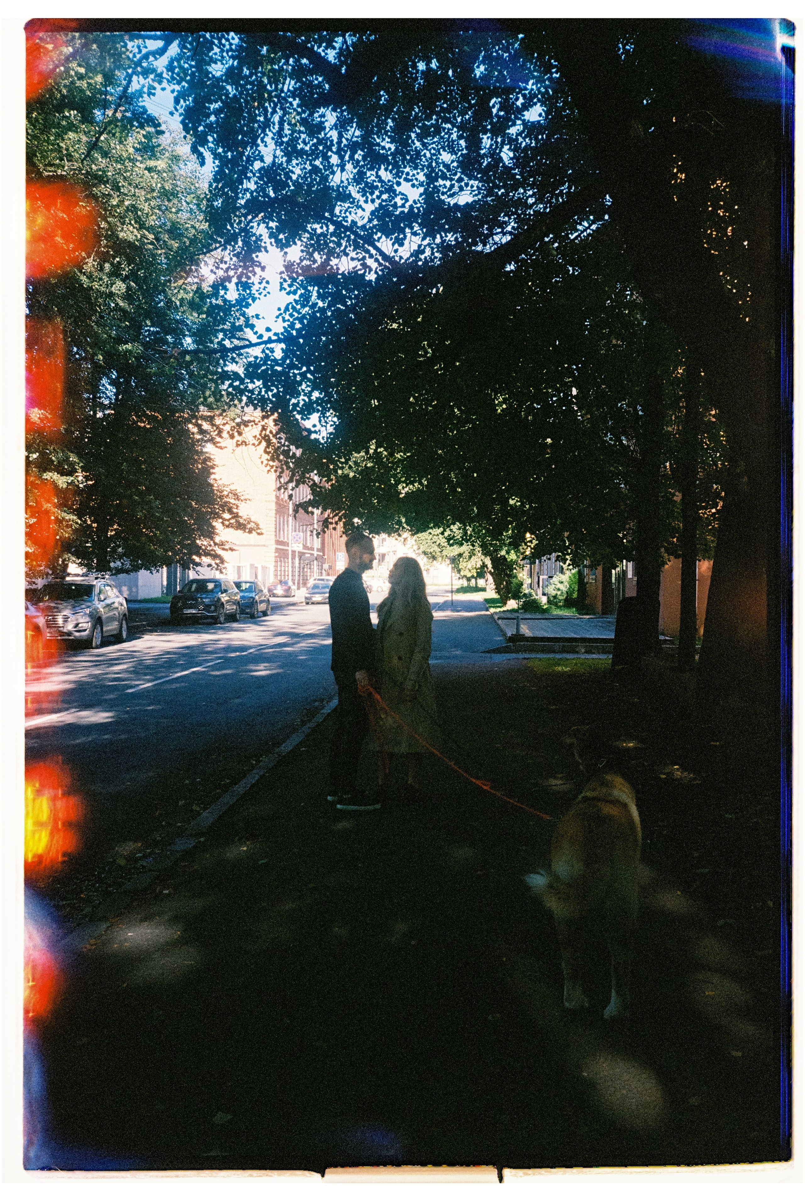 12 лап и 4 сердца. Сентиментальная свадебная фотография