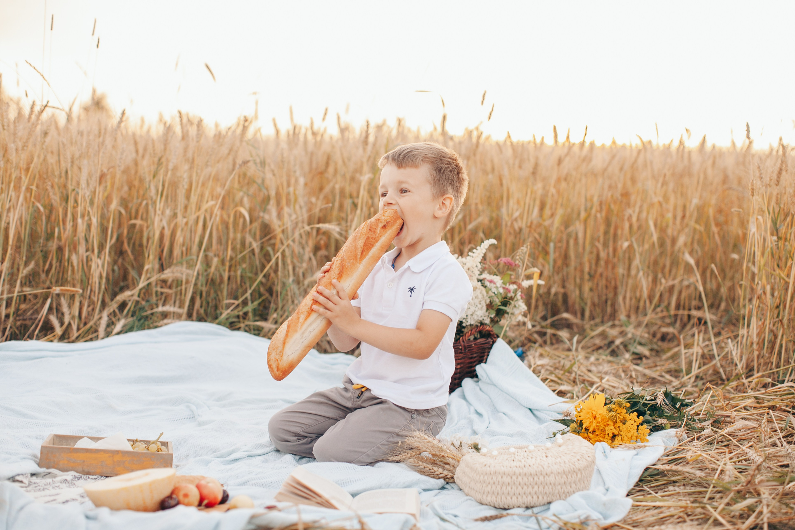 Семейная фотосессия в поле на закате. Фотограф Ольга Ефремова