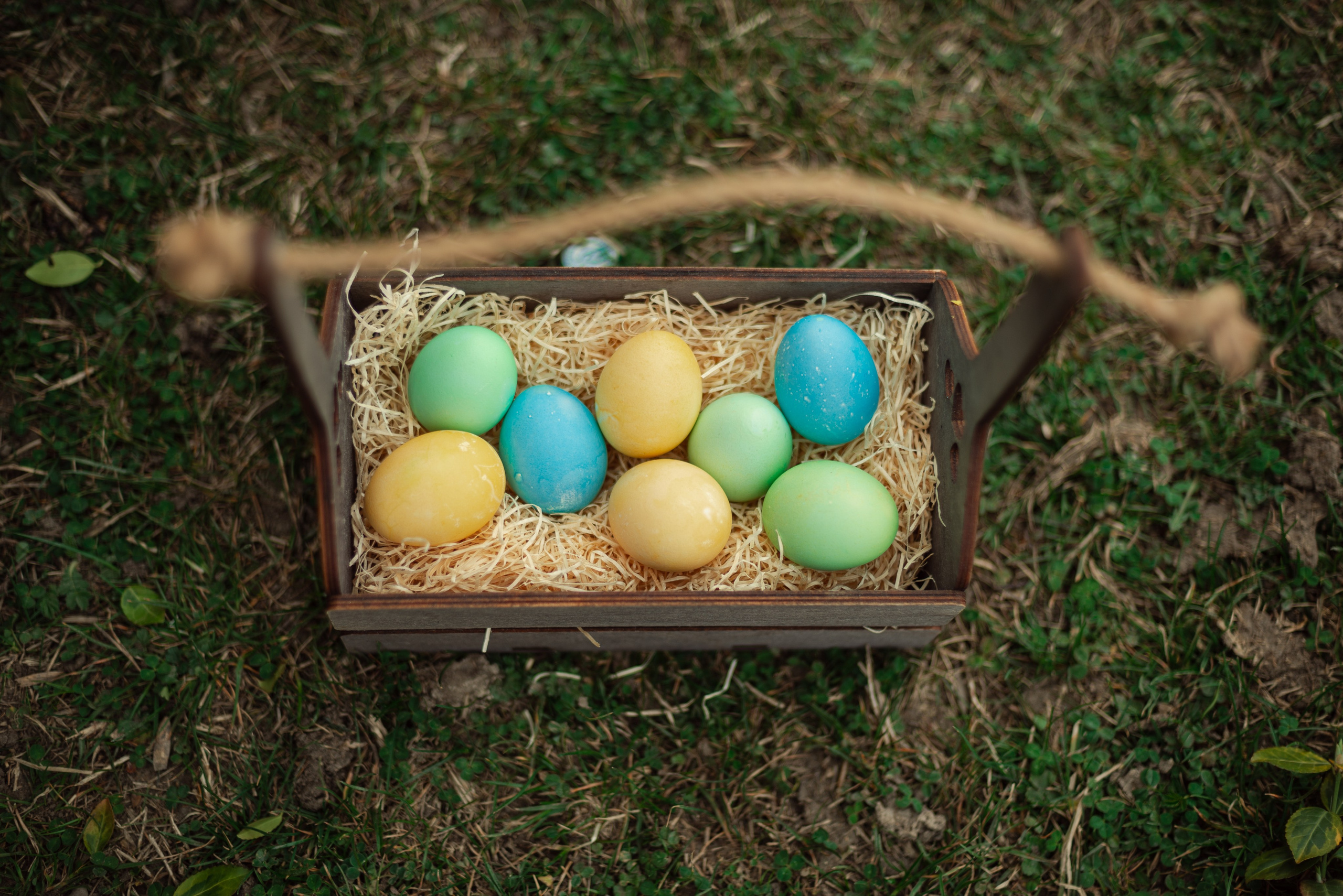 Детская фотосессия в горячем ключе. Свадебный фотограф в Горячем Ключе Смирнова Дина