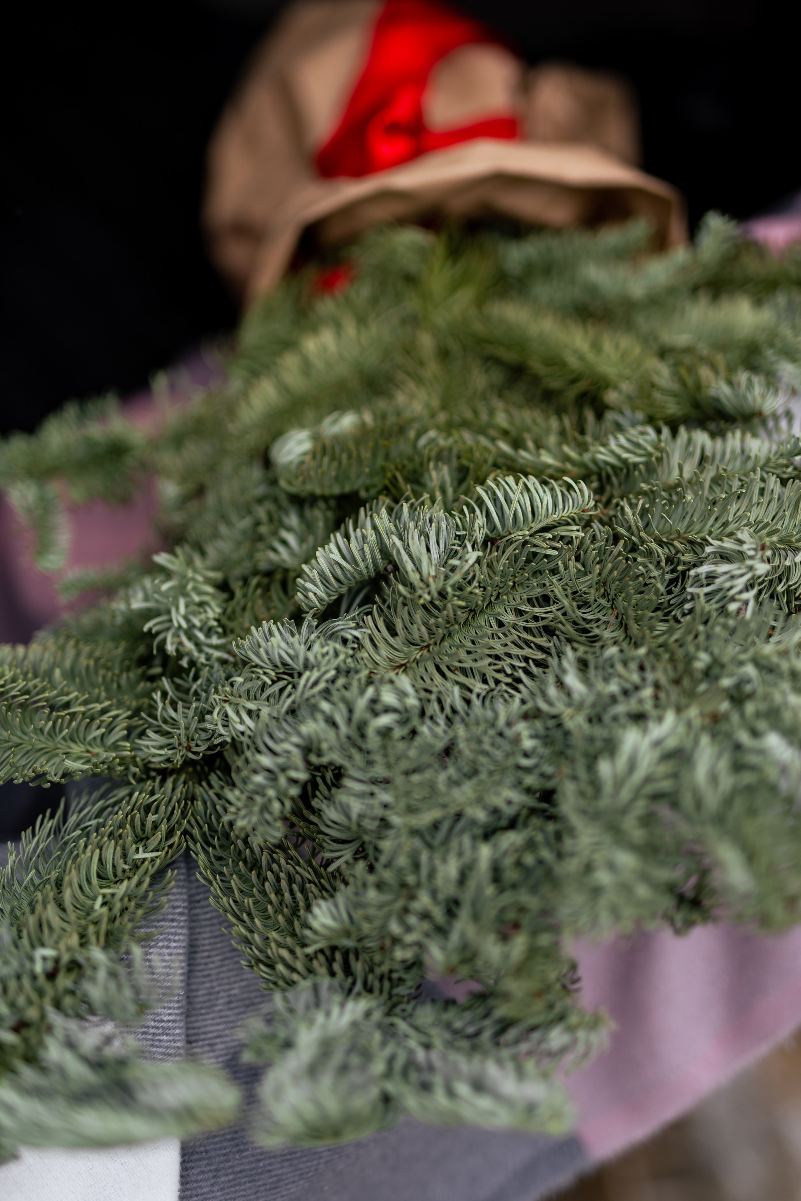 Новогодняя фотосессия в горячем ключе. Свадебный фотограф в Горячем Ключе Смирнова Дина