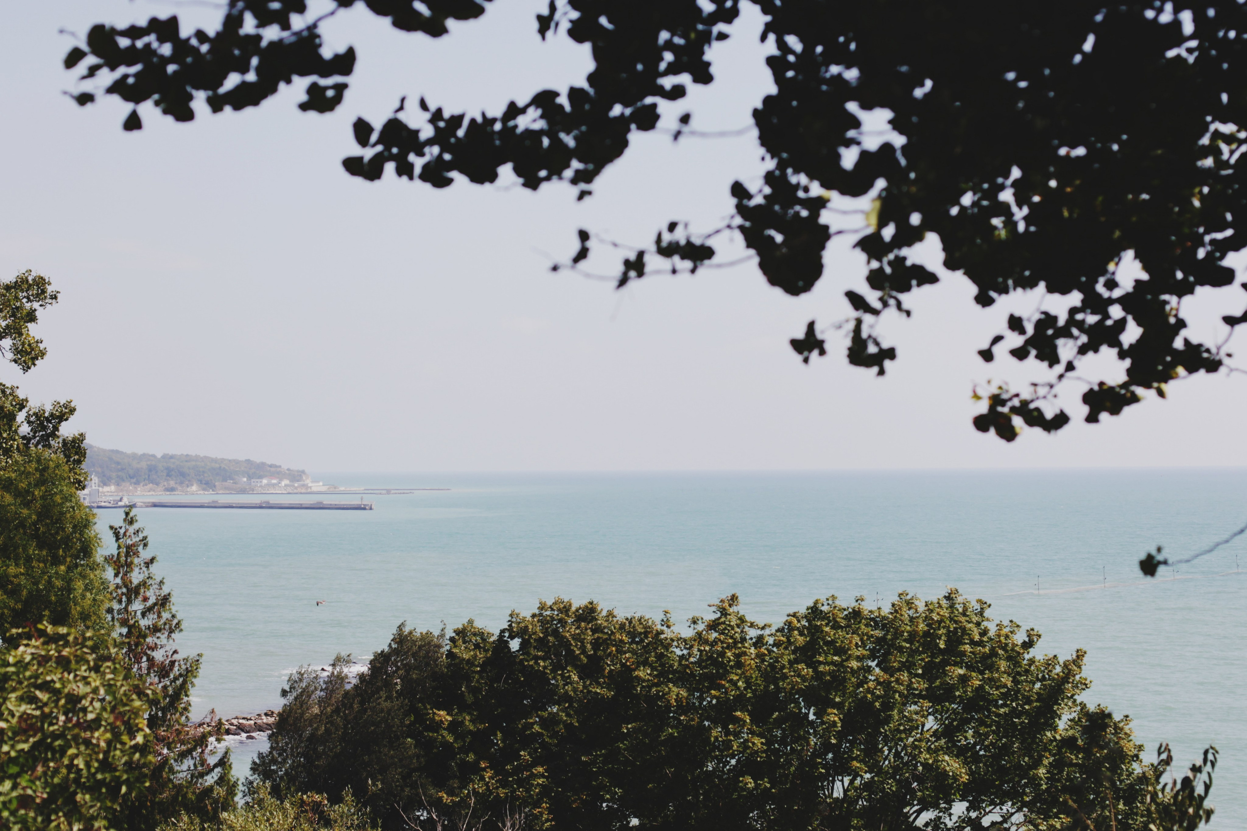 Болгария. Аня Степанова