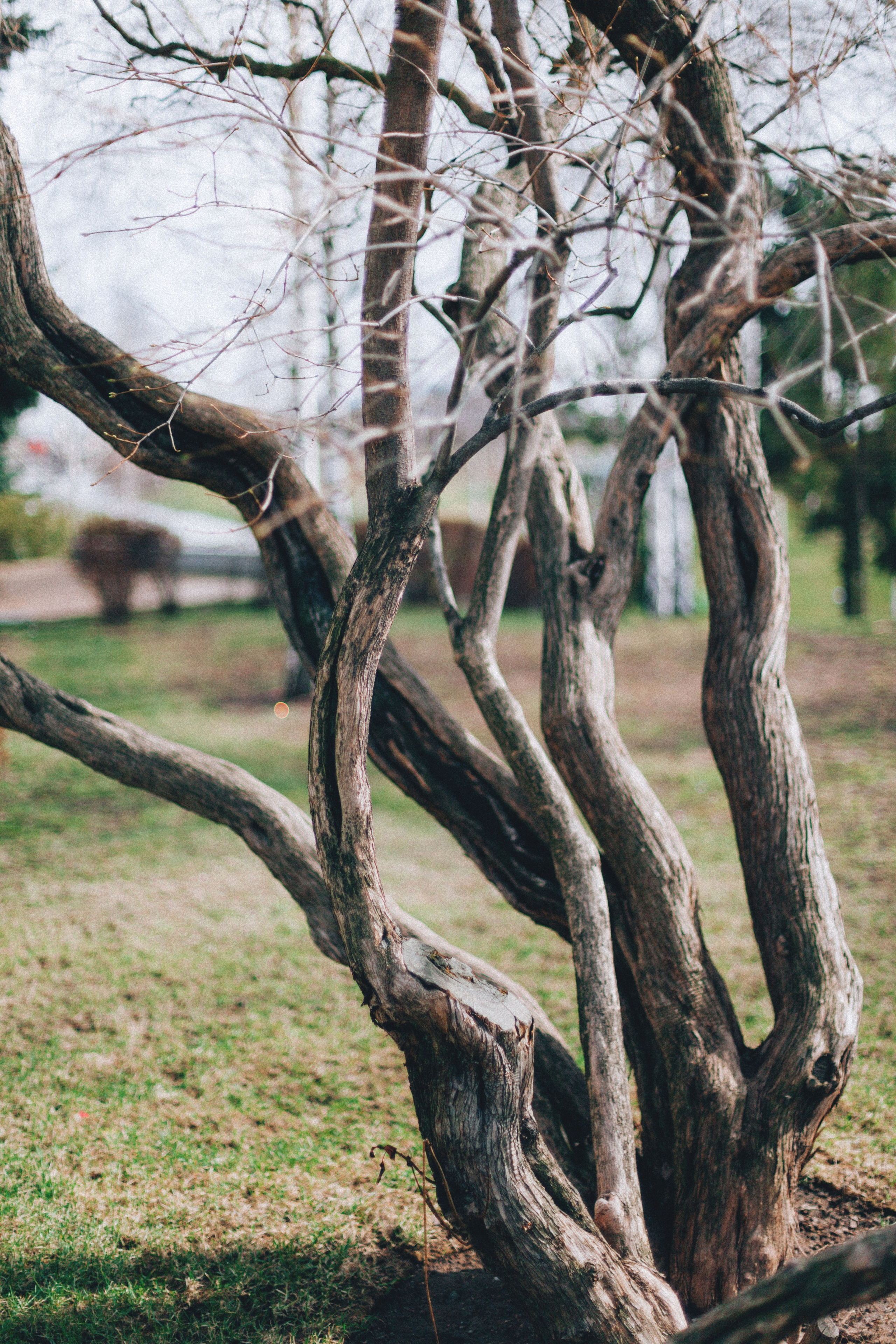 Москва. Аня Степанова