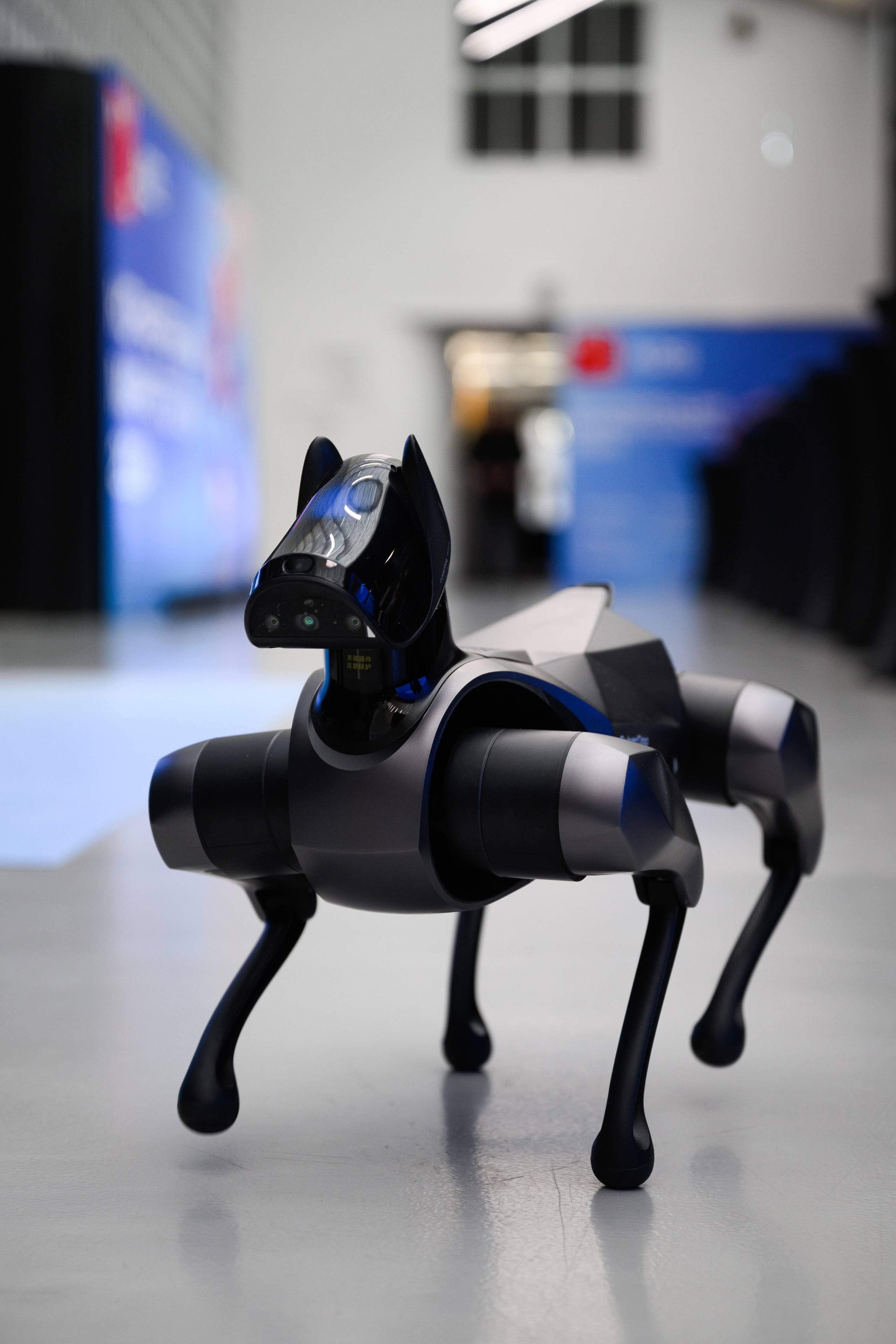 MTS ADS| Большая конференция маркетолога. Портфолио