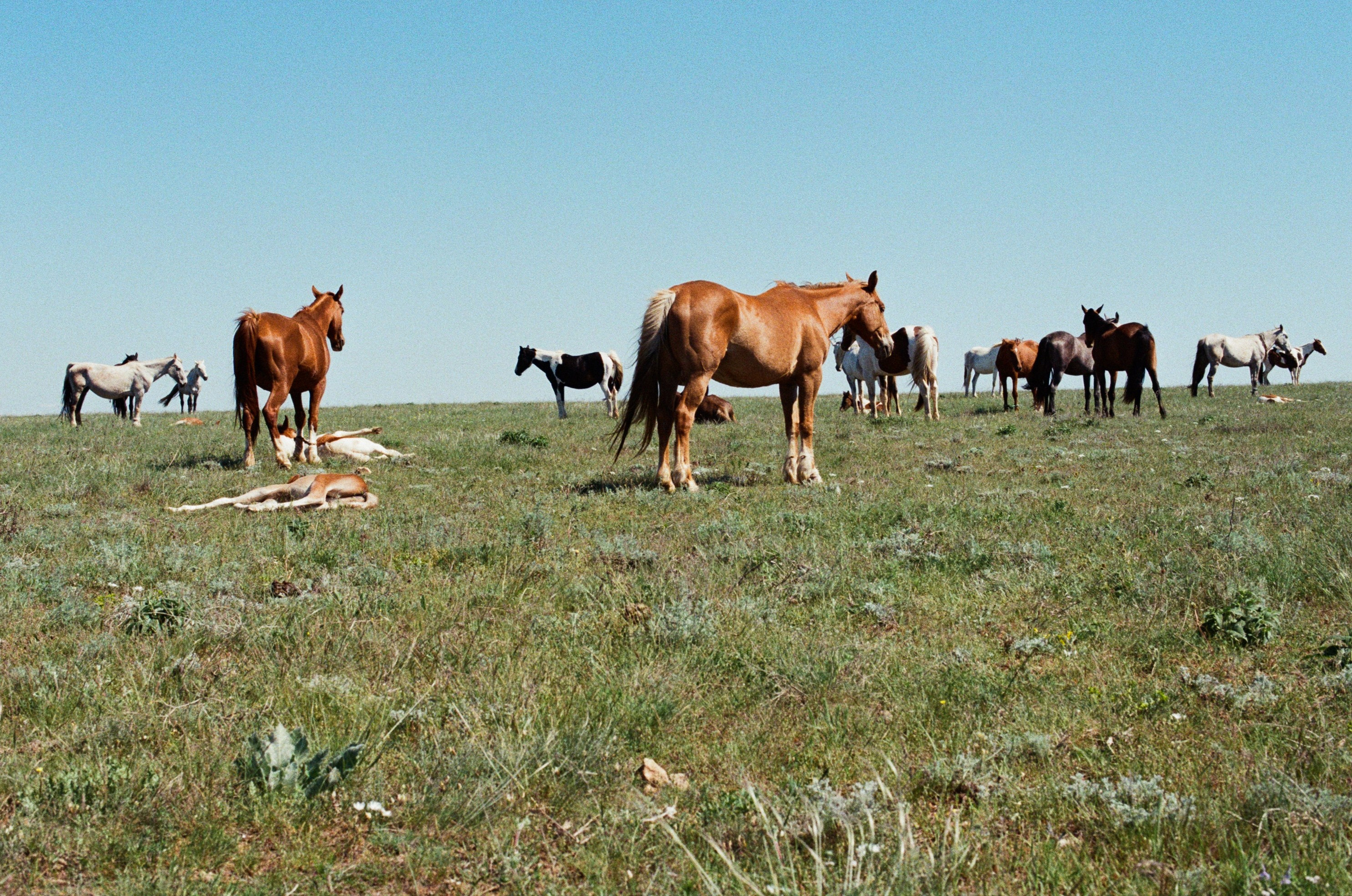 Some kind of madness // ukraine, crimea V. EVER EXPOSED