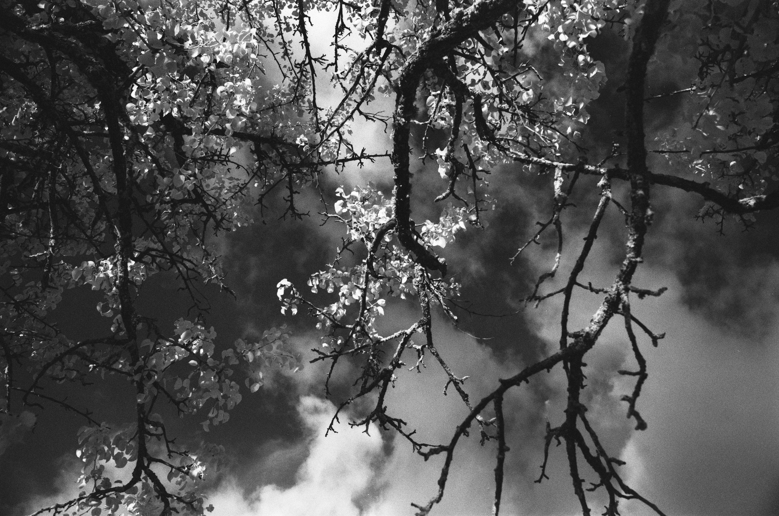 Point of no reply // ukraine, crimea V. EVER EXPOSED