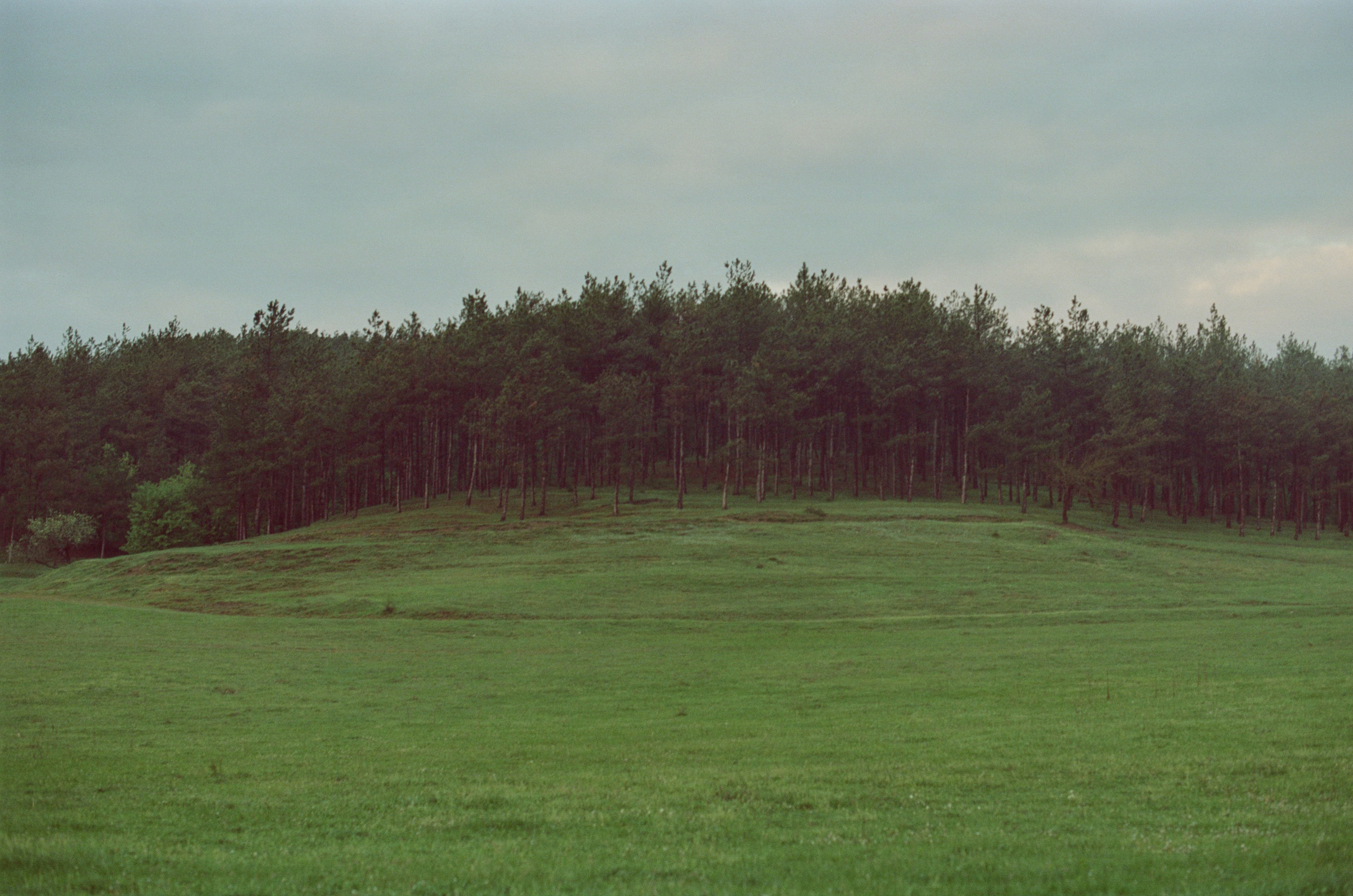 Follow you // ukraine, crimea. EVER EXPOSED